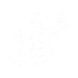 activity icon