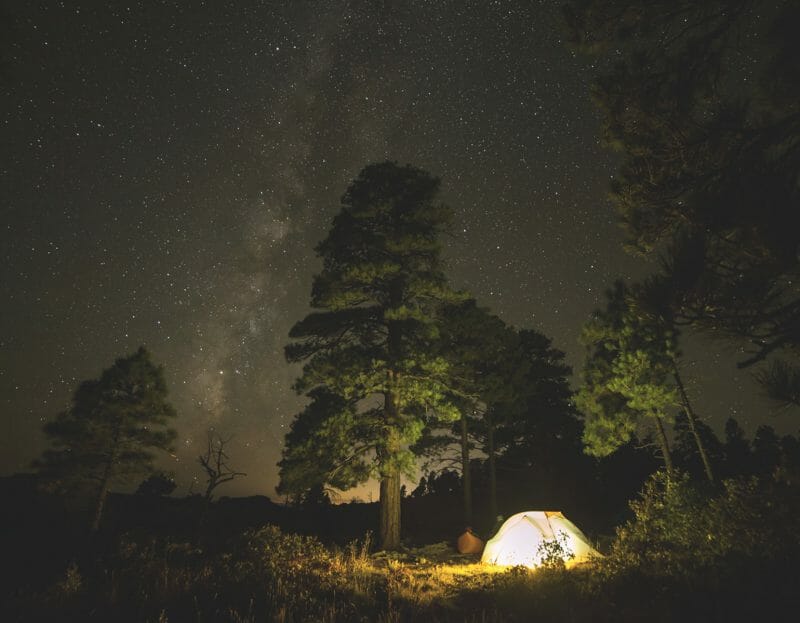 une tente illuminée de nuit dans une forêt