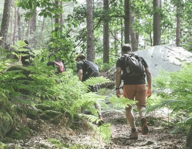 Des randonneurs en forêt de Fontainebleau