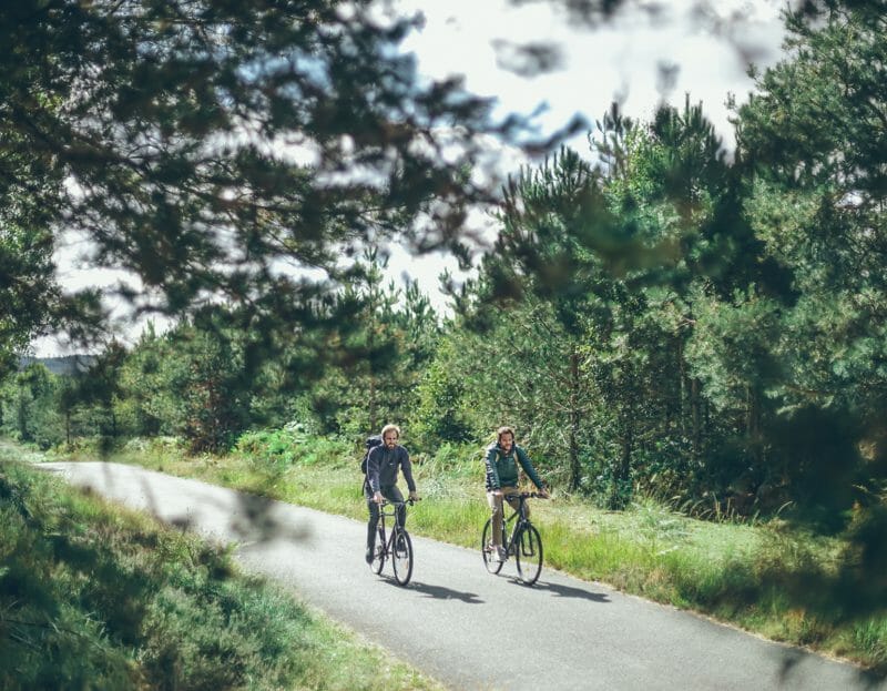Deux cyclistes dans la forêt en Essonne