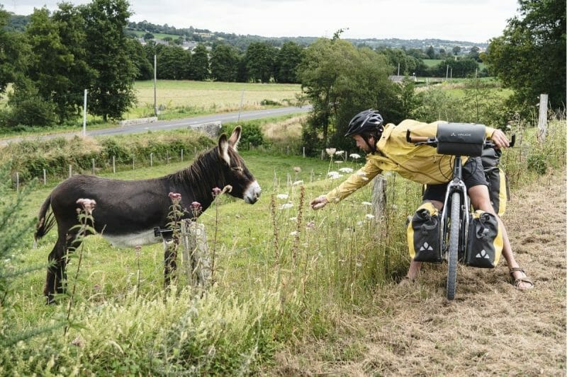Une cycliste nourrit un âne le long de la Vélodyssée