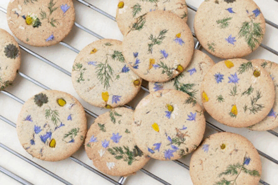 biscuits fleurs camomille bleuet