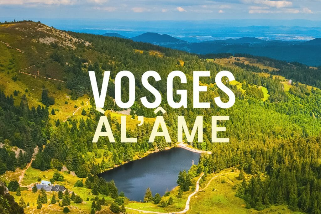 rando Vosges 