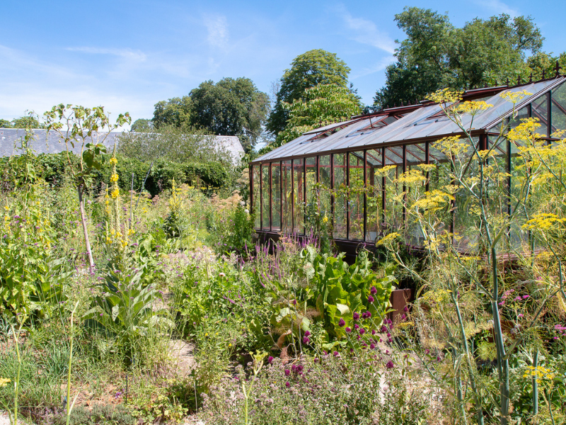 Une serre dans un jardin cultivé en permaculture
