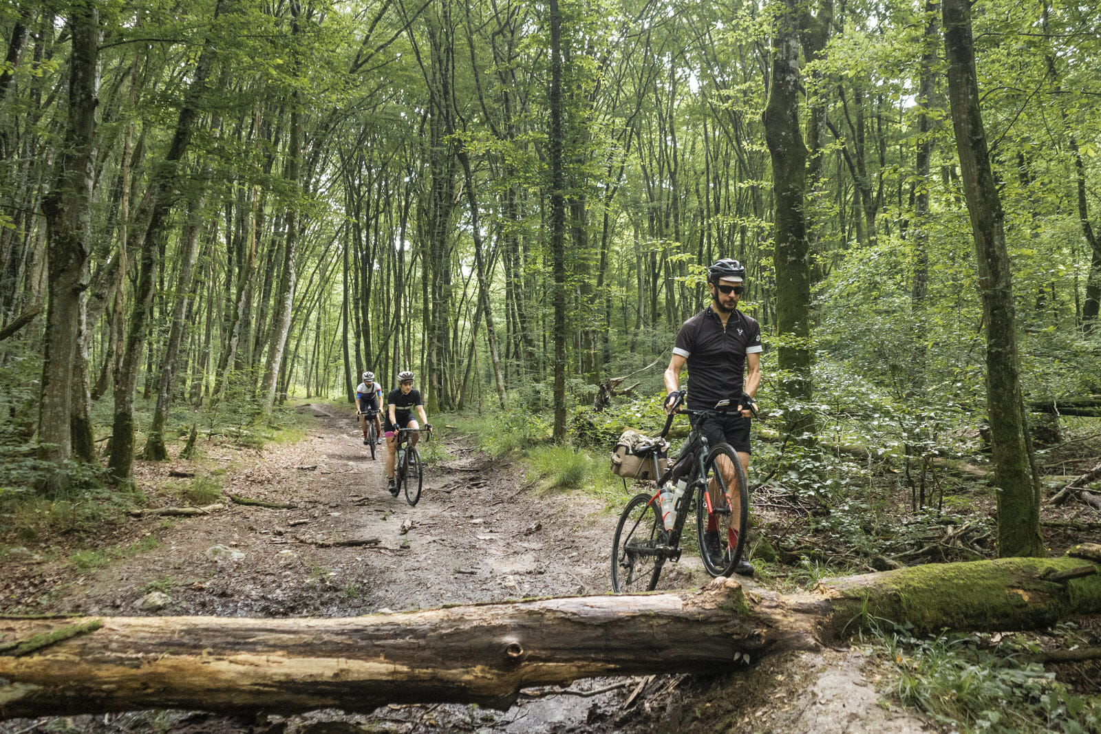  cyclistes dans une forêt