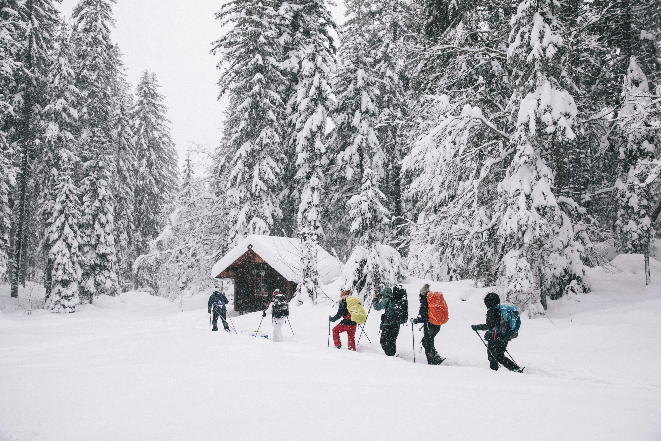type de randonnée : randonnée raquettes à neige