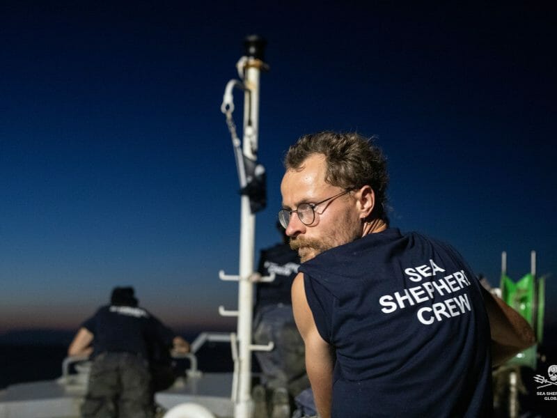 Embarquer 2 mois sur un bateau Sea Shepherd : une bonne idée ?