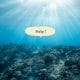 Loi protection fonds marins