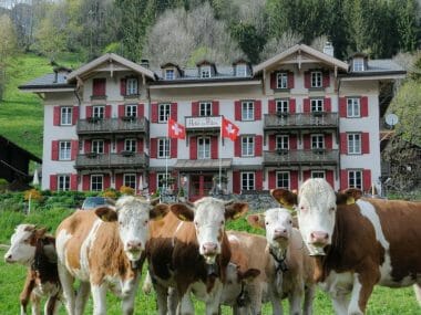 Suisse : nos 5 hébergements coup de cœur