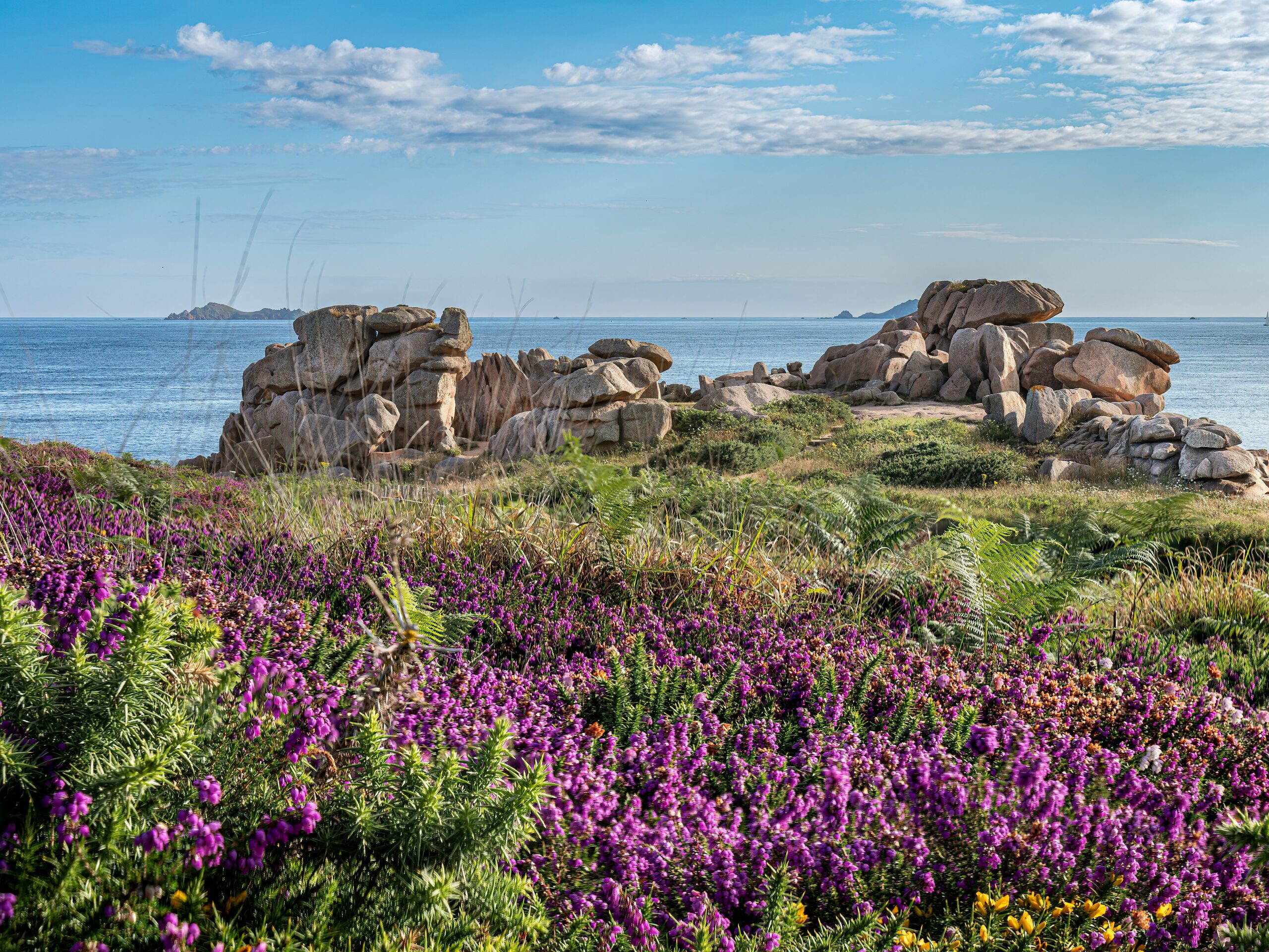 Côtes d'Armor