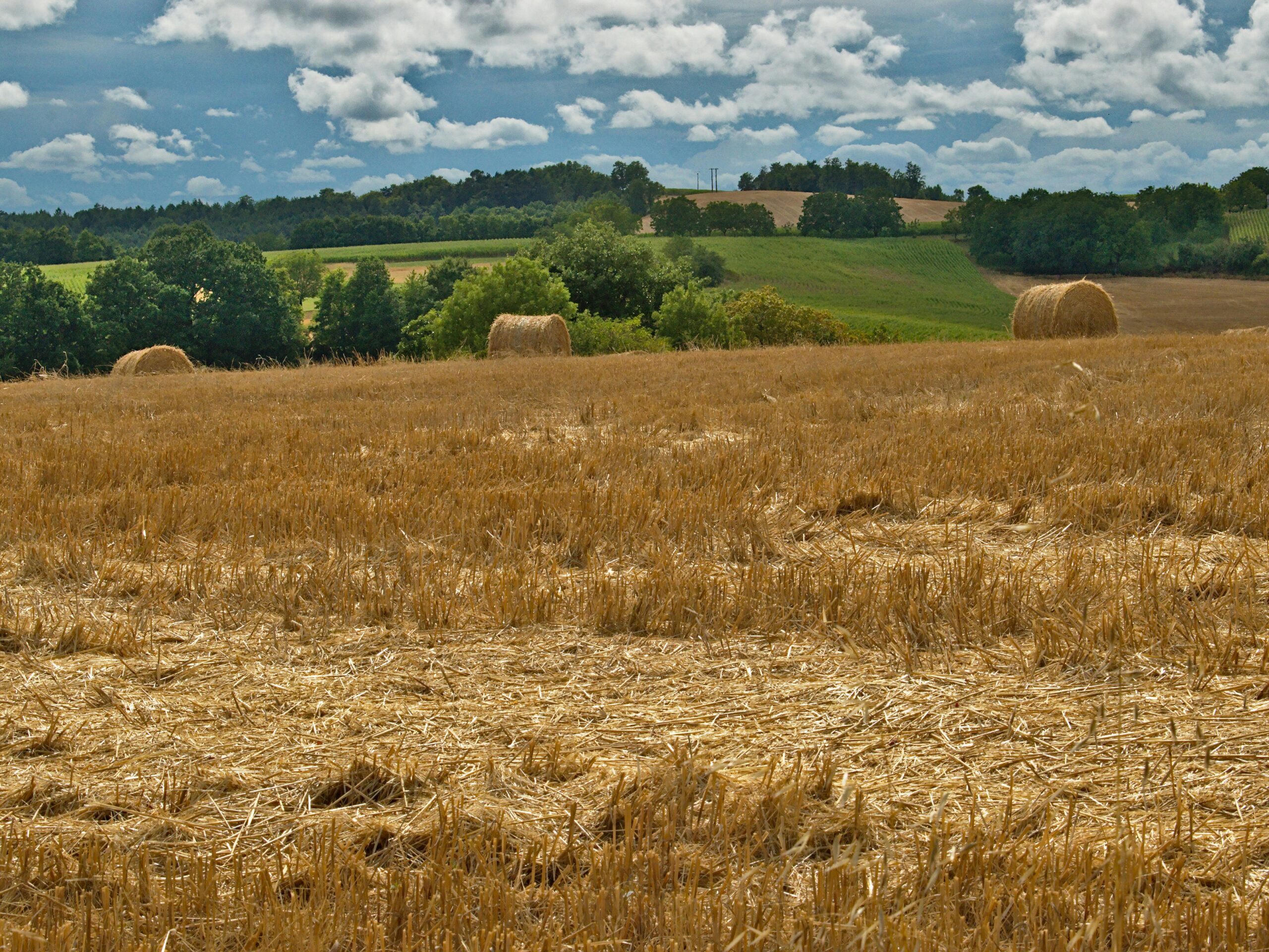 campagne