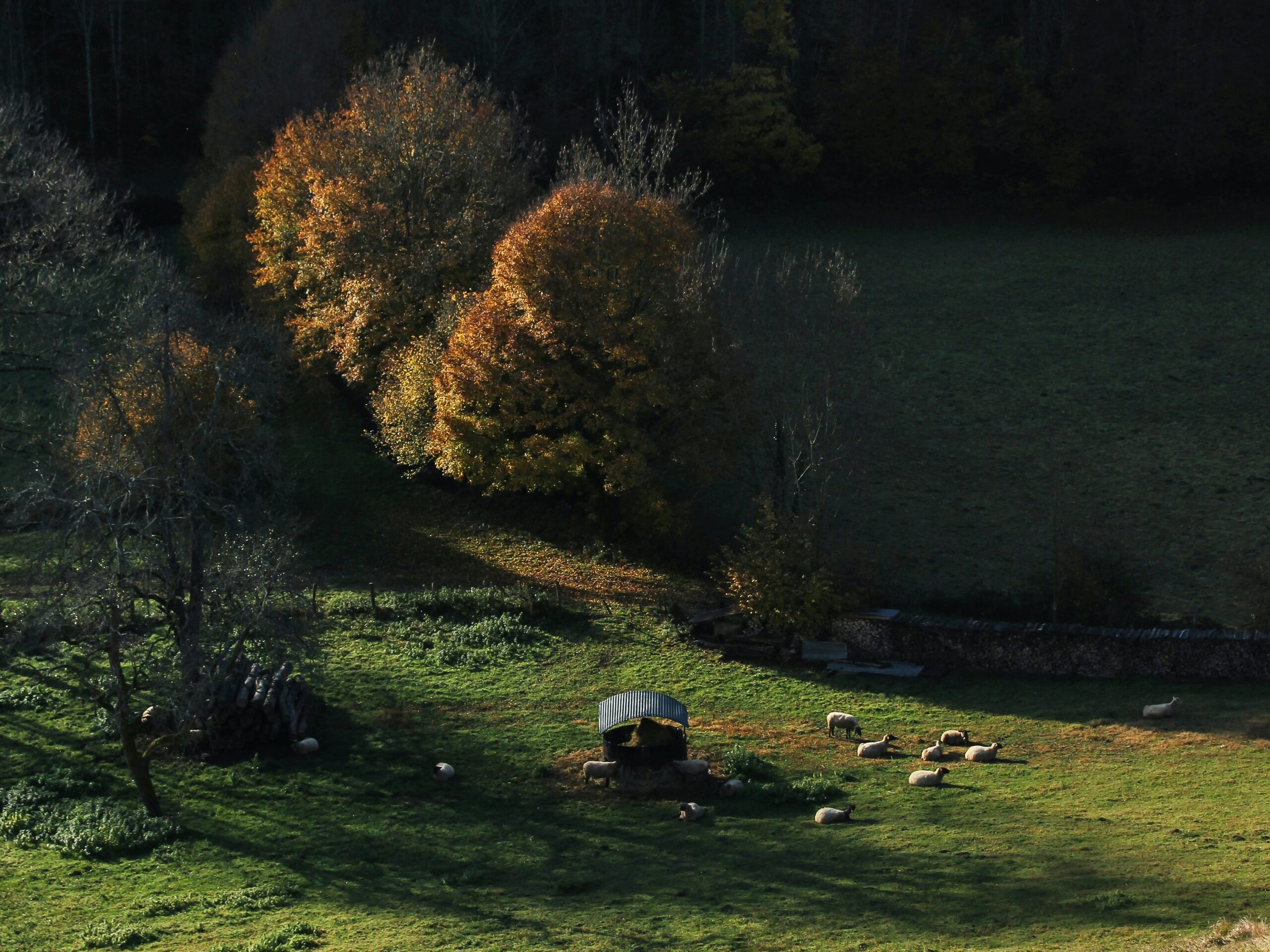 campagne