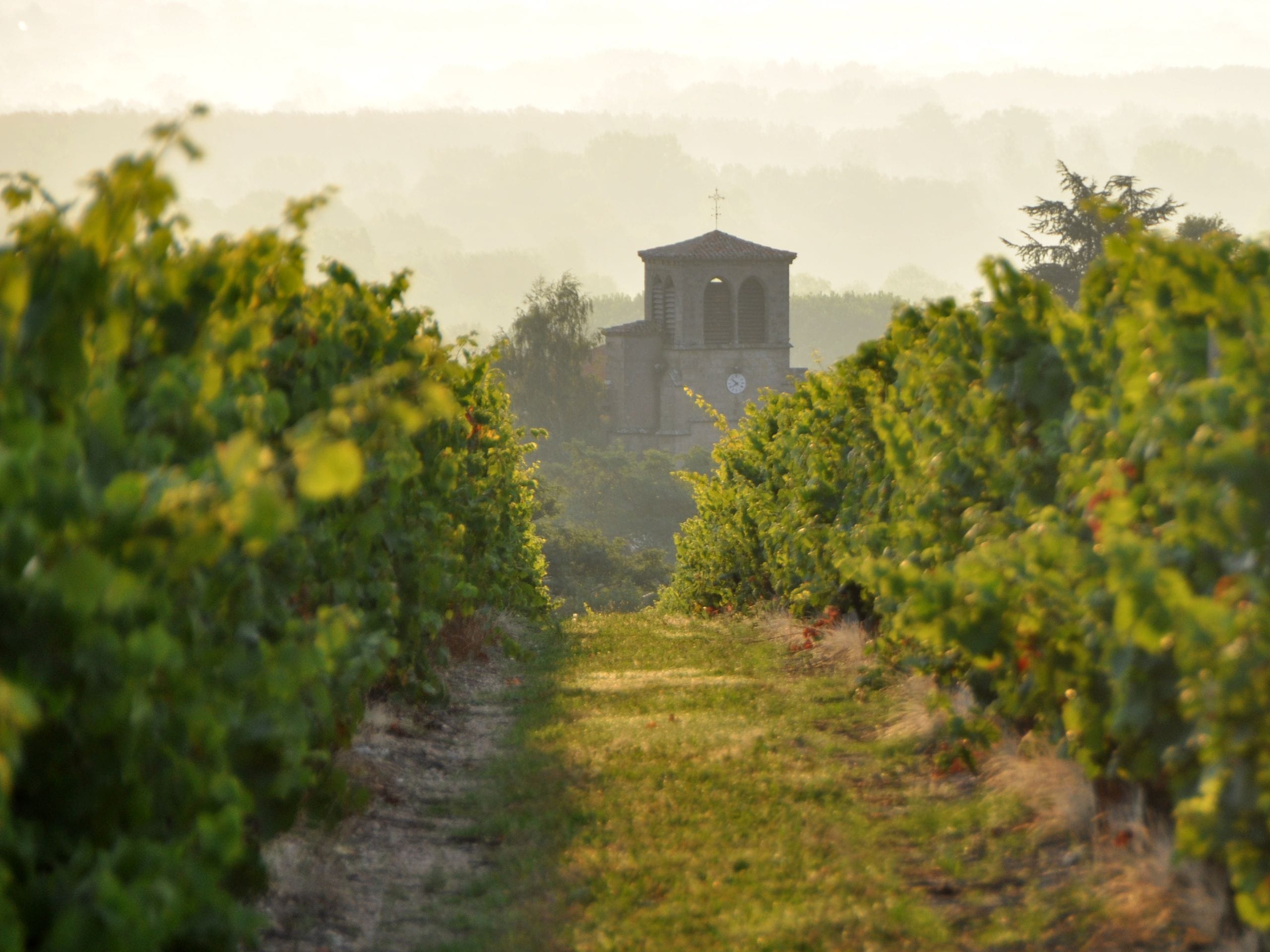 Loire week-end vin