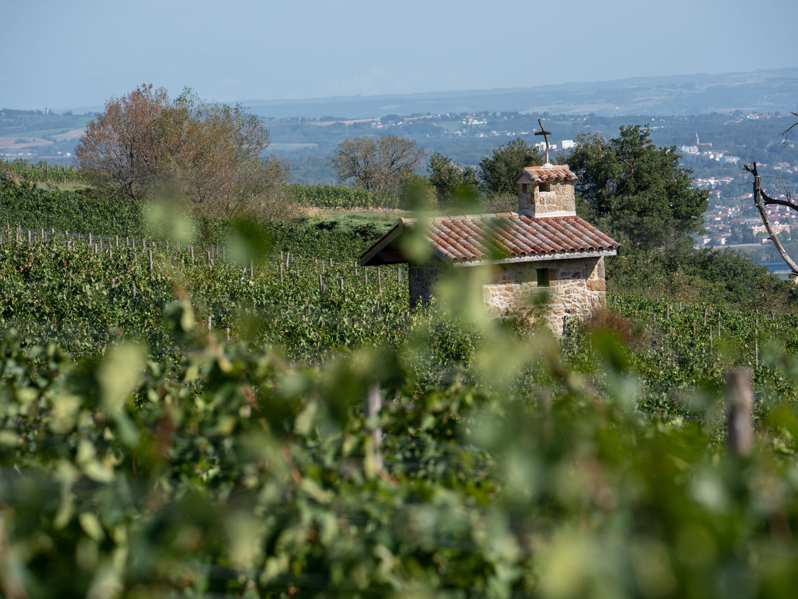 Loire week-end vin