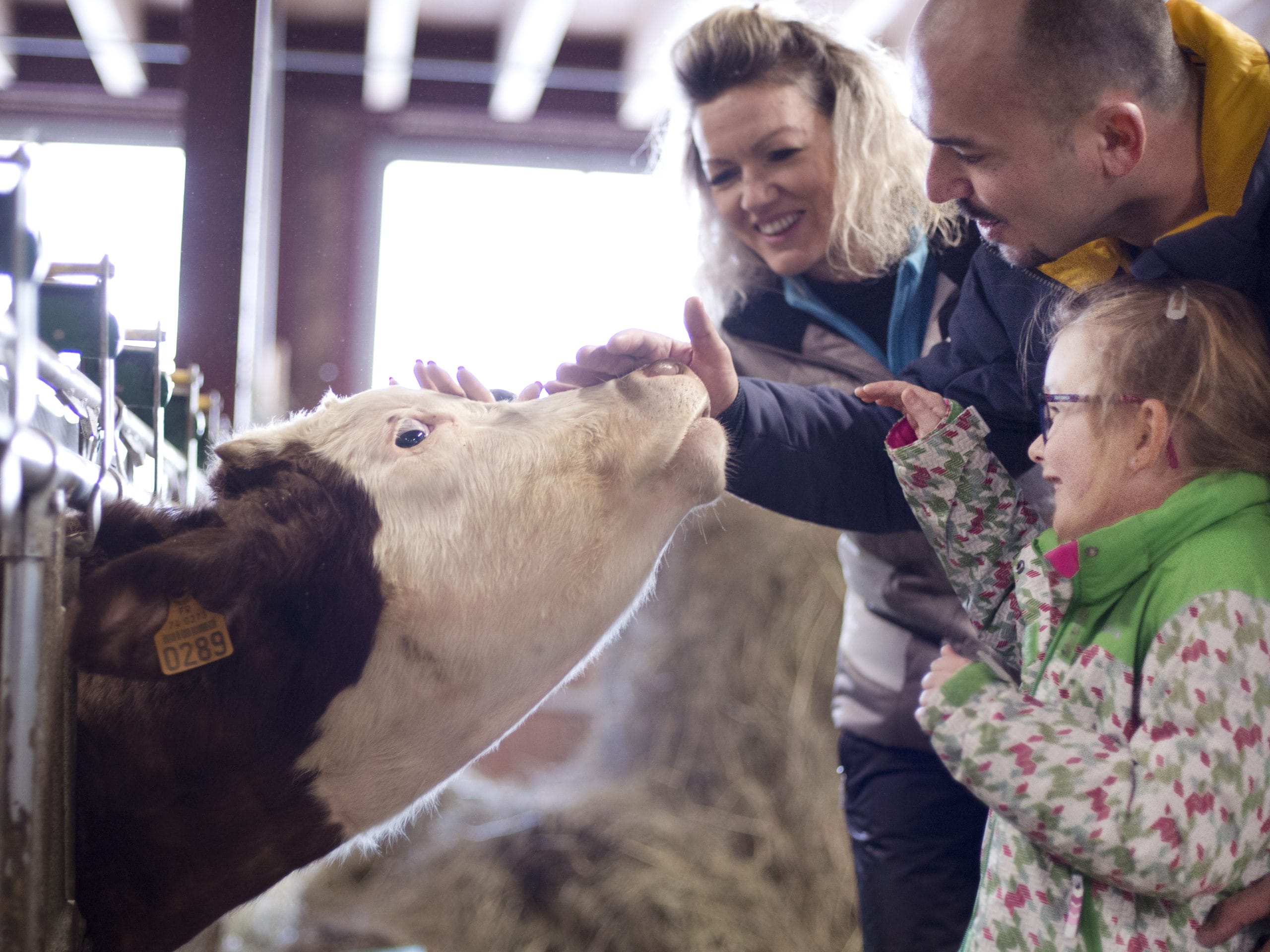 visite à la ferme