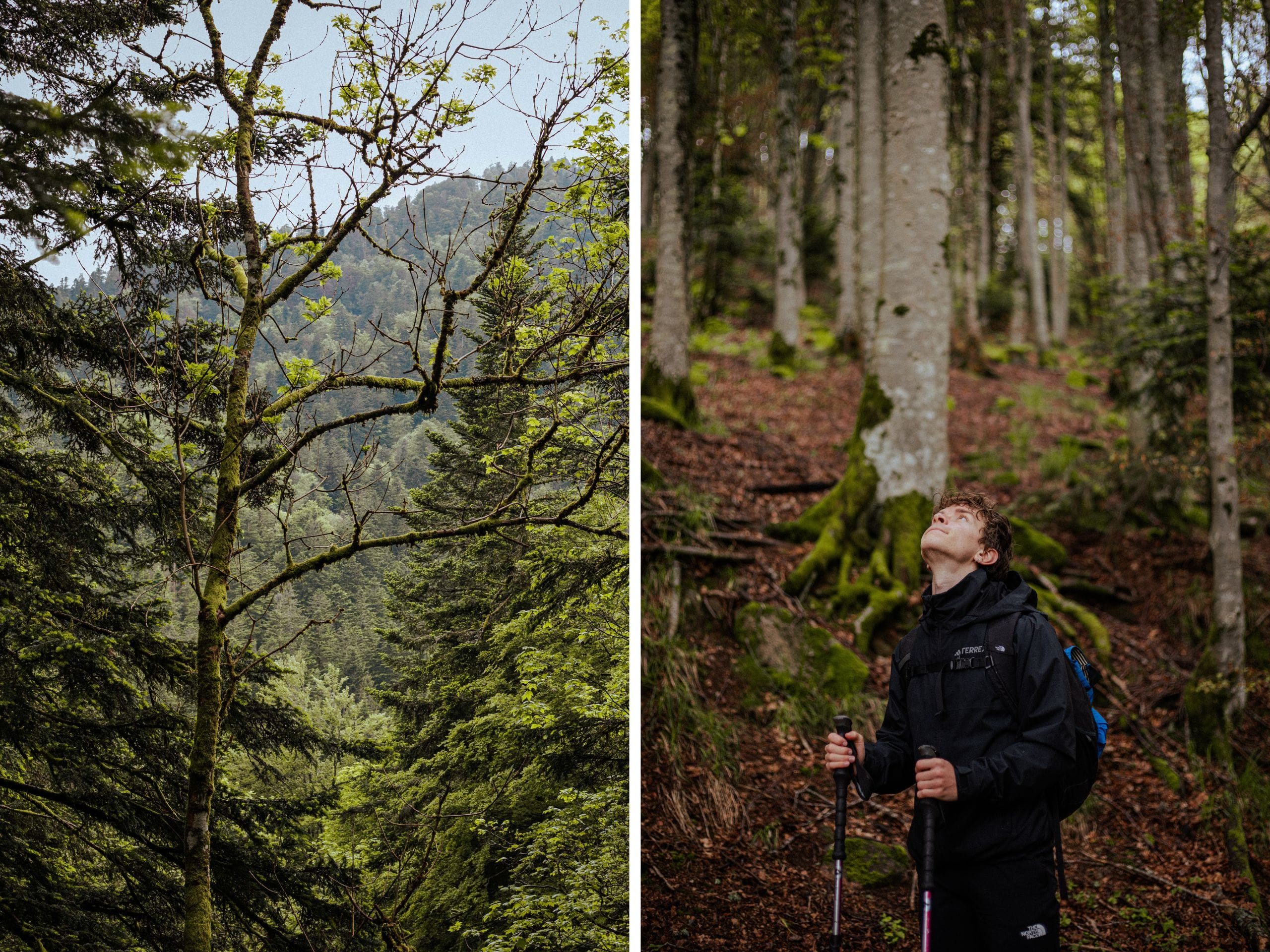 topo vosges du sud