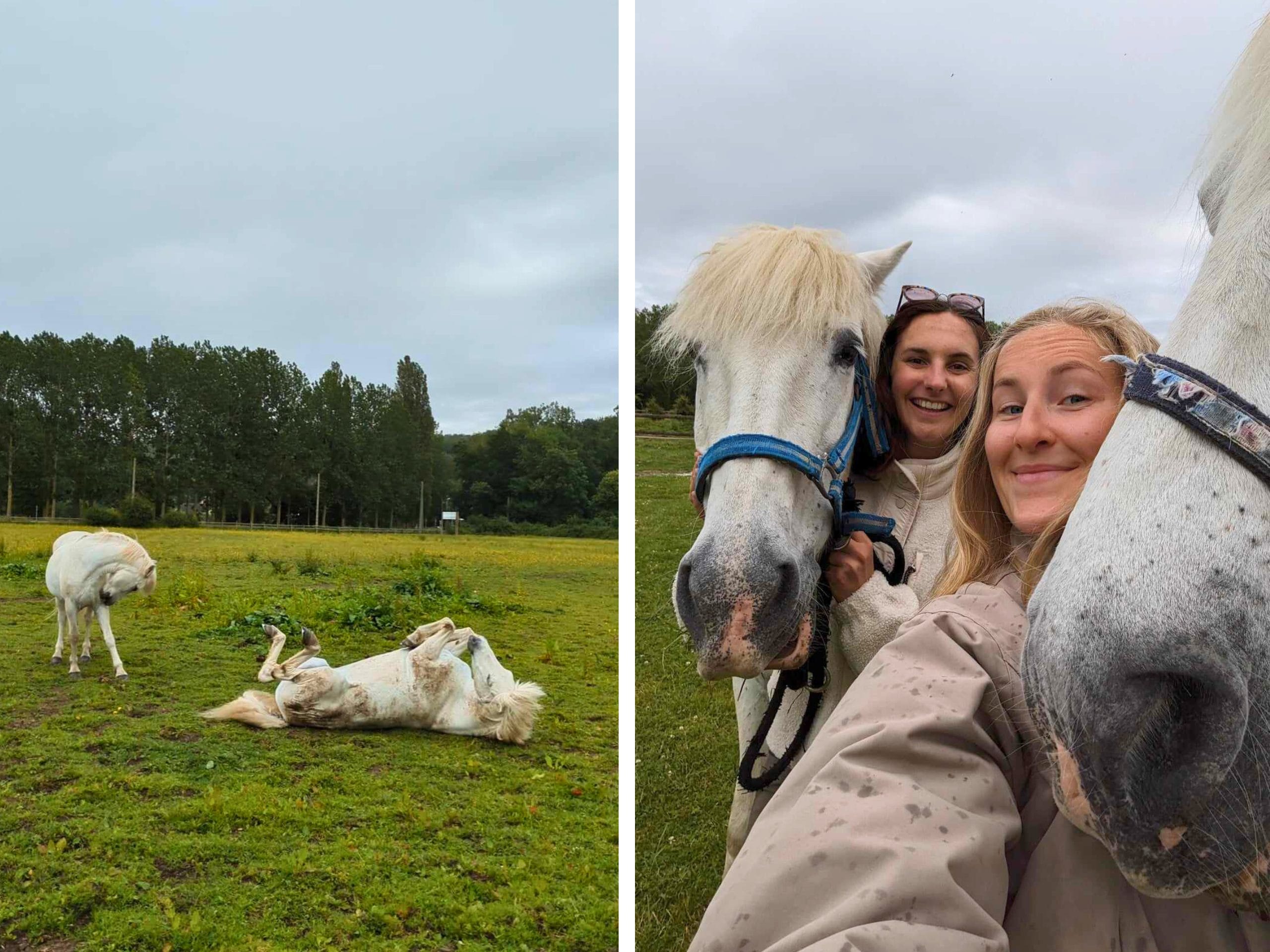 fin de rando à cheval