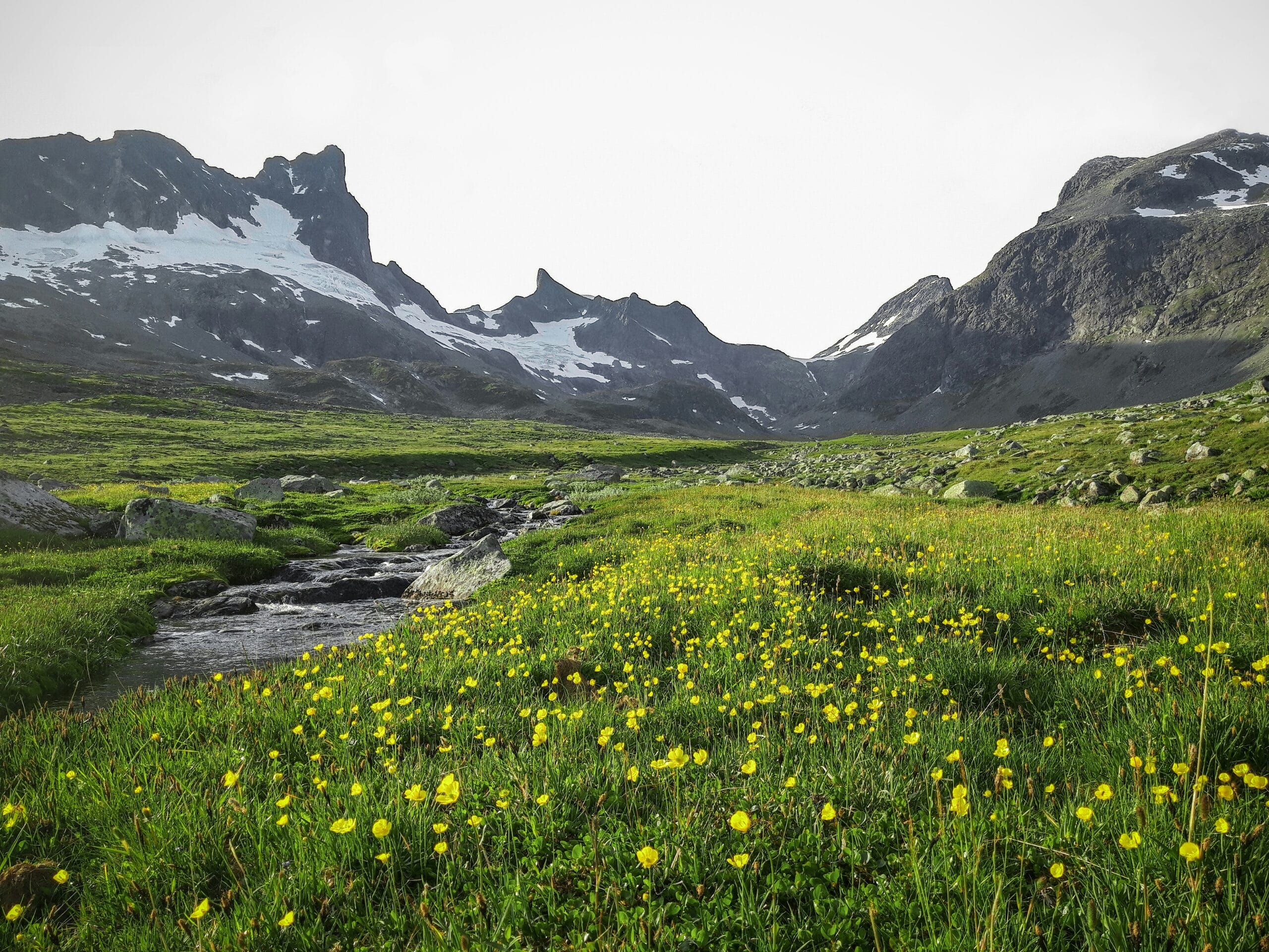 Plaines de Norvège