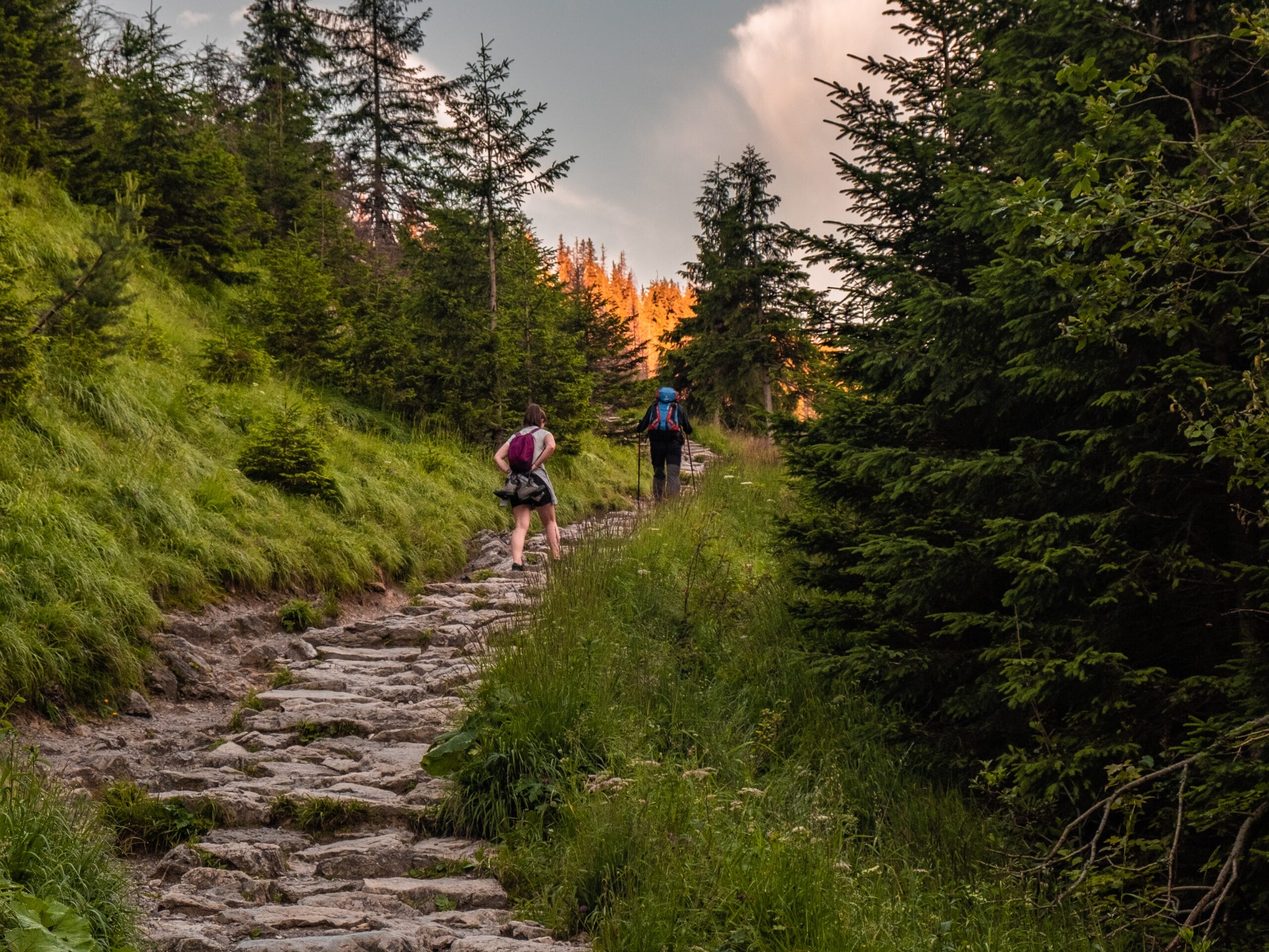 Randonnée en montagne