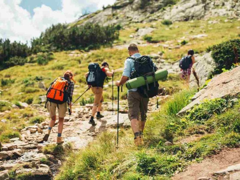 randonneurs en pleine nature