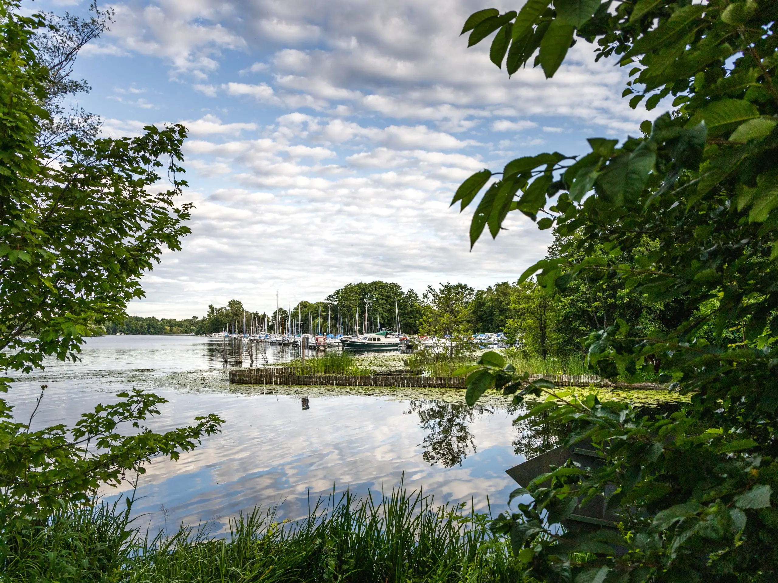 Berlin nature