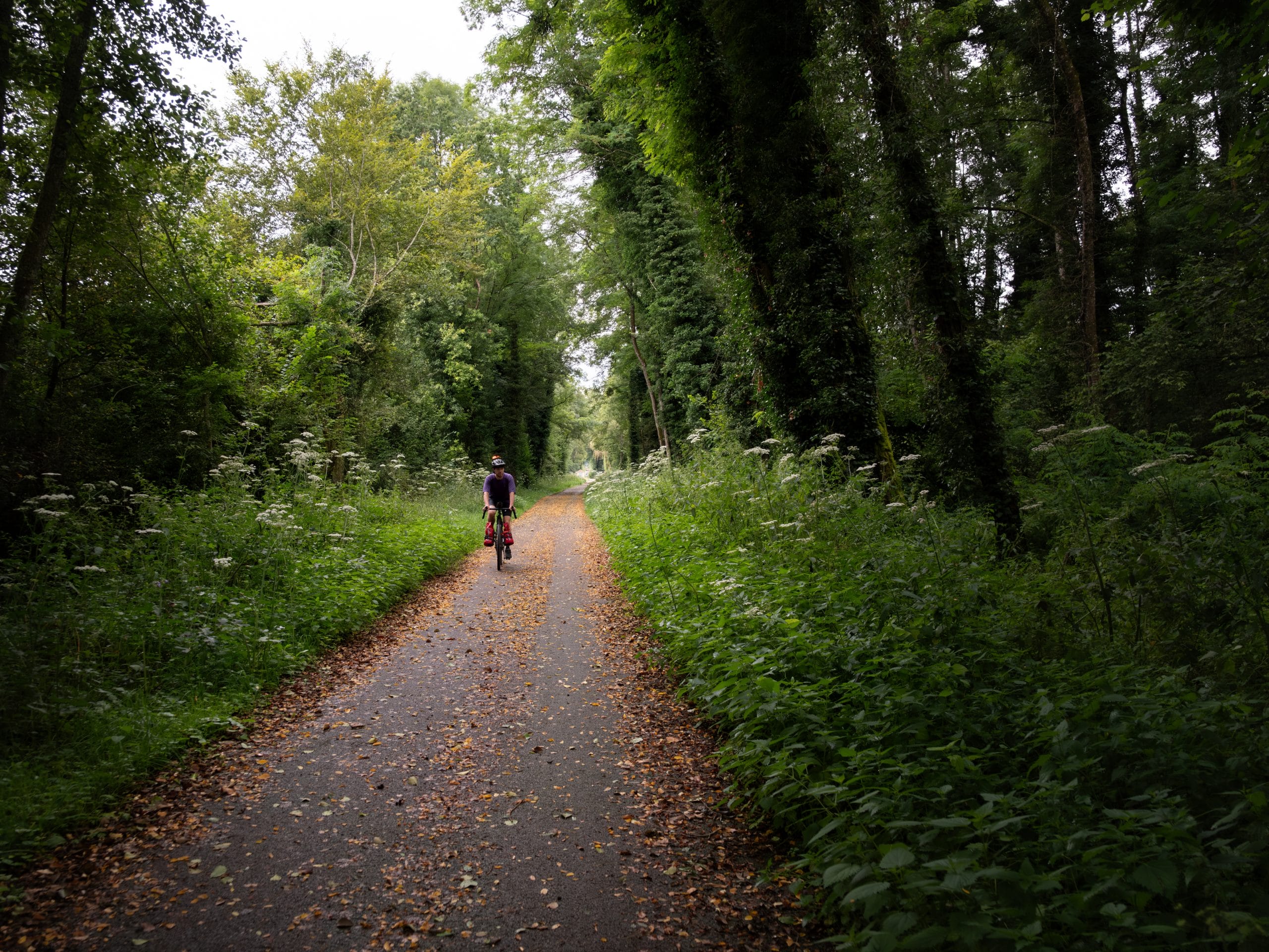 à vélo dans le Jura