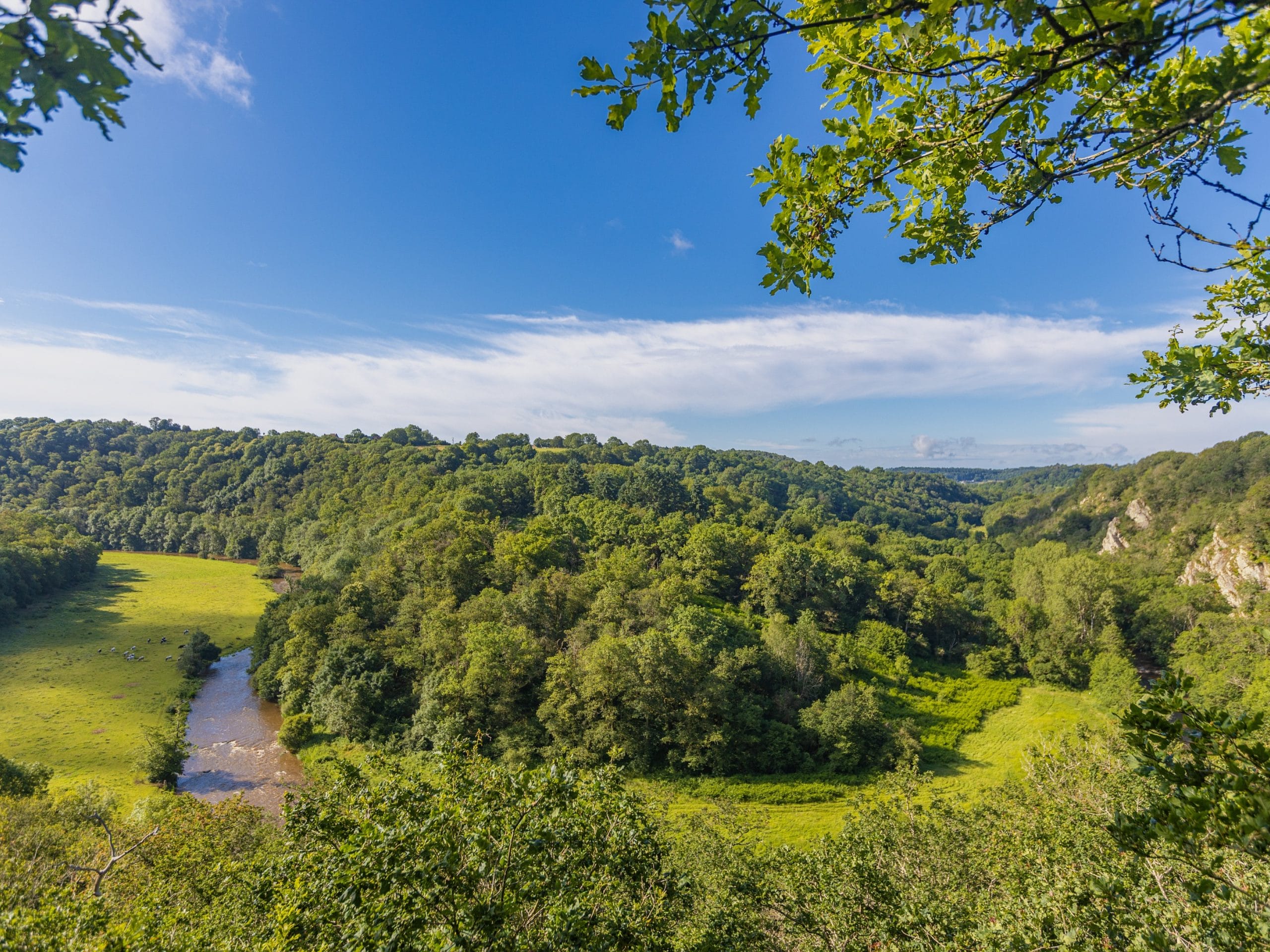 paysage des pays de la Loire