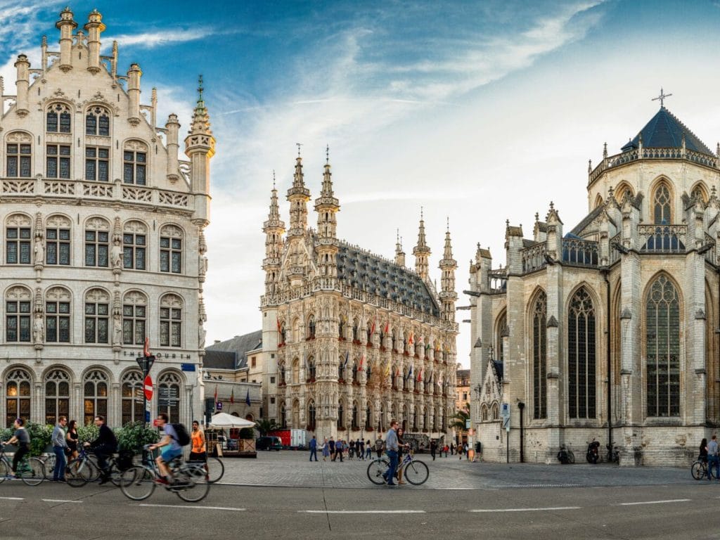 Vue sur la ville de Leuven