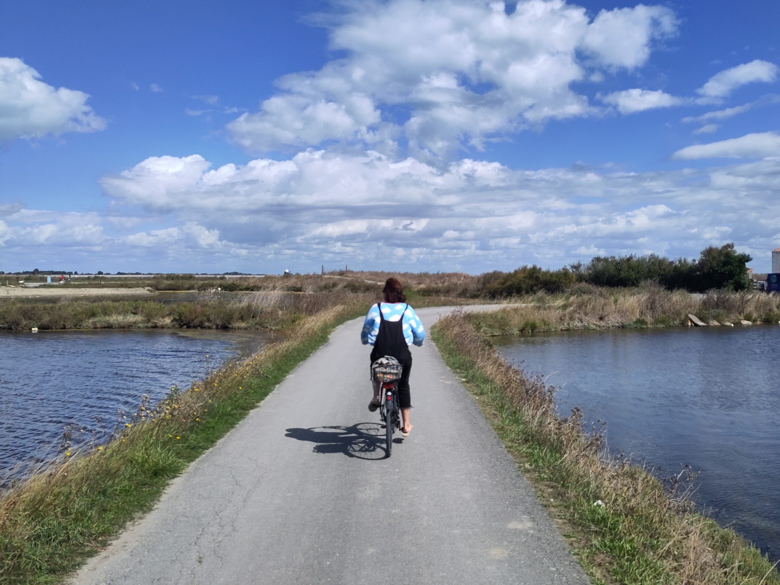 Sortie à vélo dans les marais