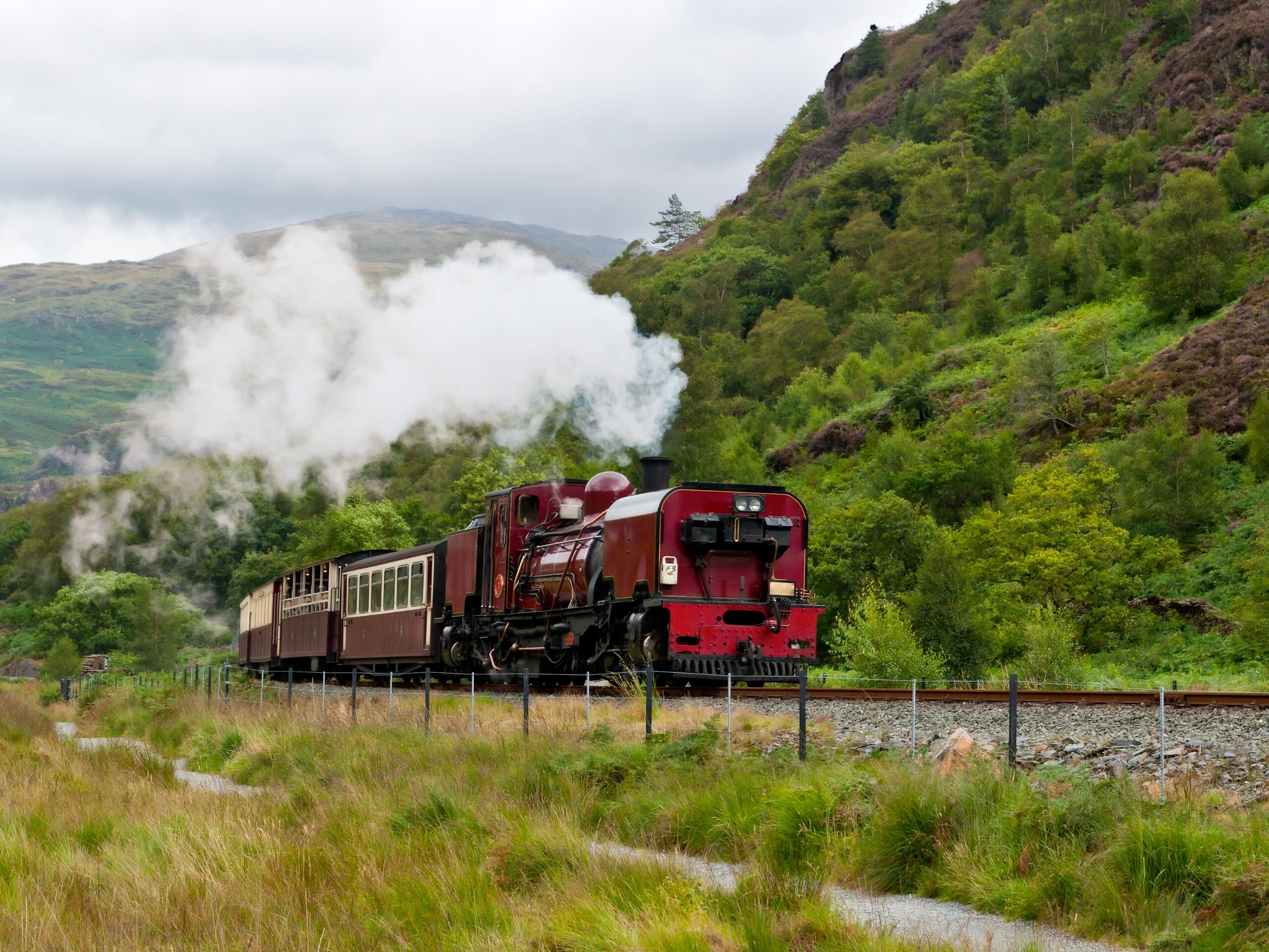 Train