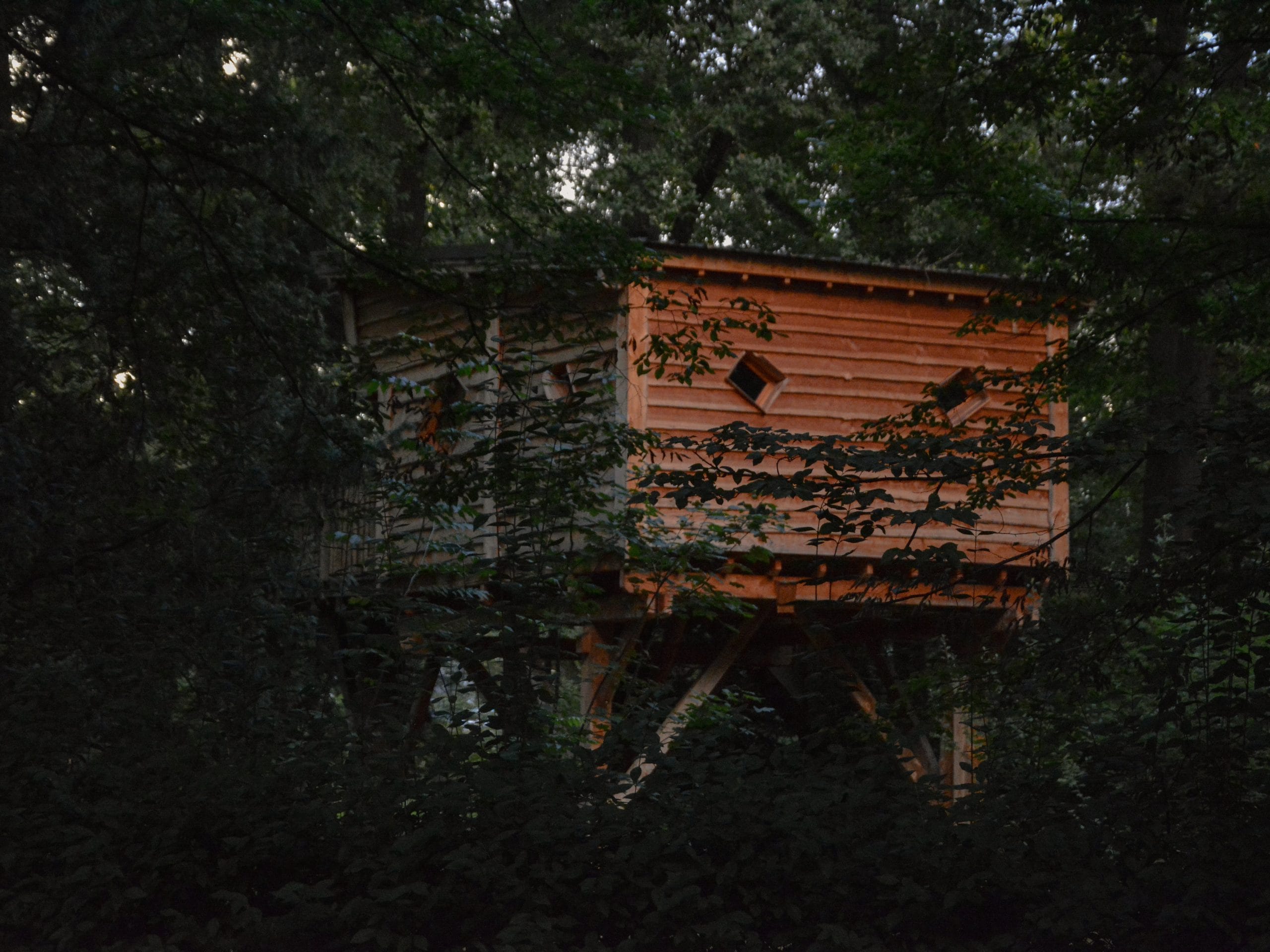 Cabane au Monde de Charlie