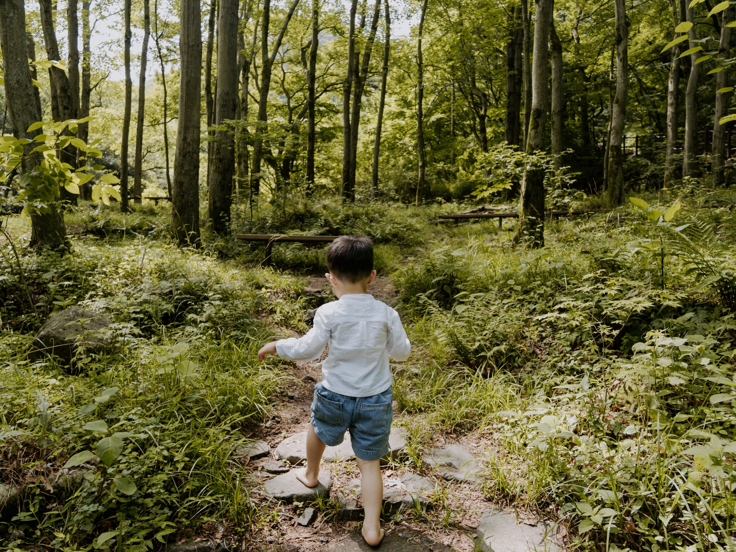 Promenade dans les bois avec les enfants