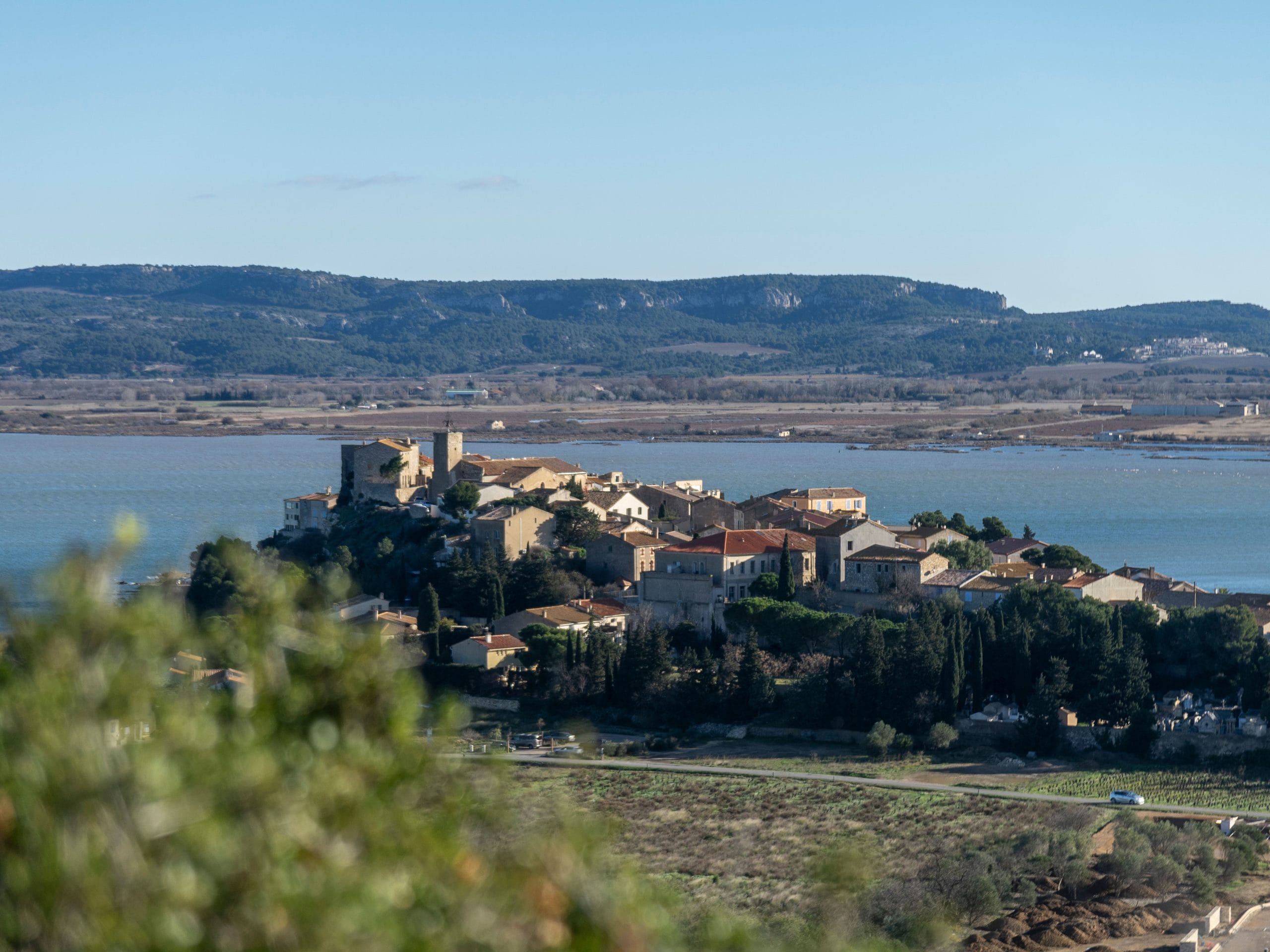 Vue sur Bages