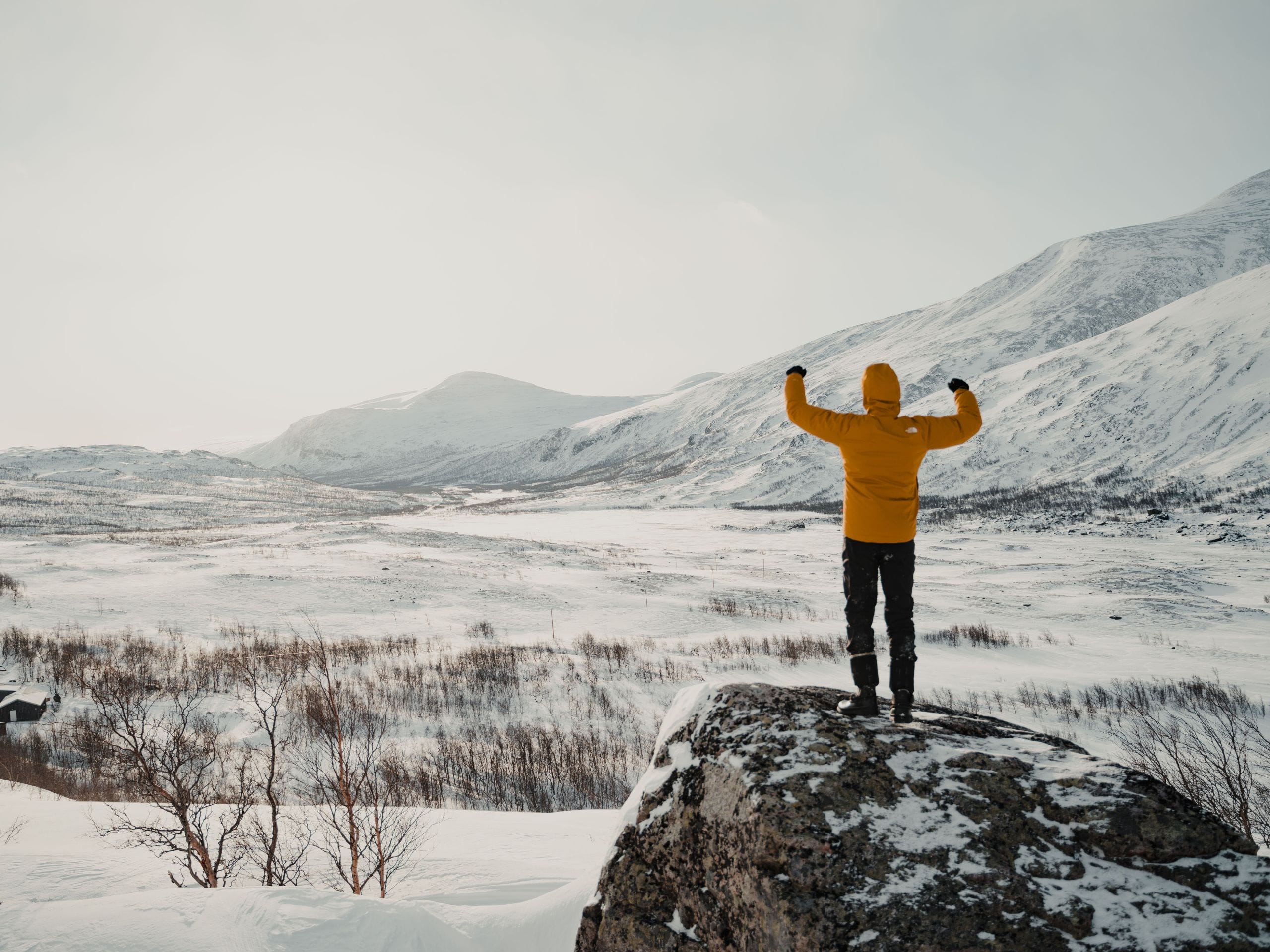 Un homme les bras en l'air face à un paysage de laponie. 