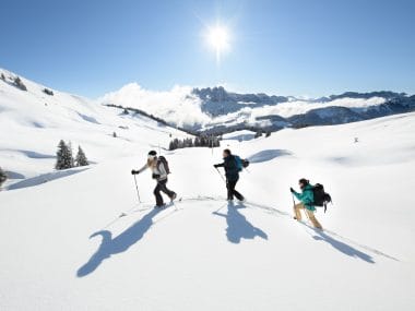 Ski de rando dans la région Dents du Midi, Suisse.