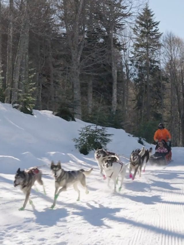 Faites le plein d’activités