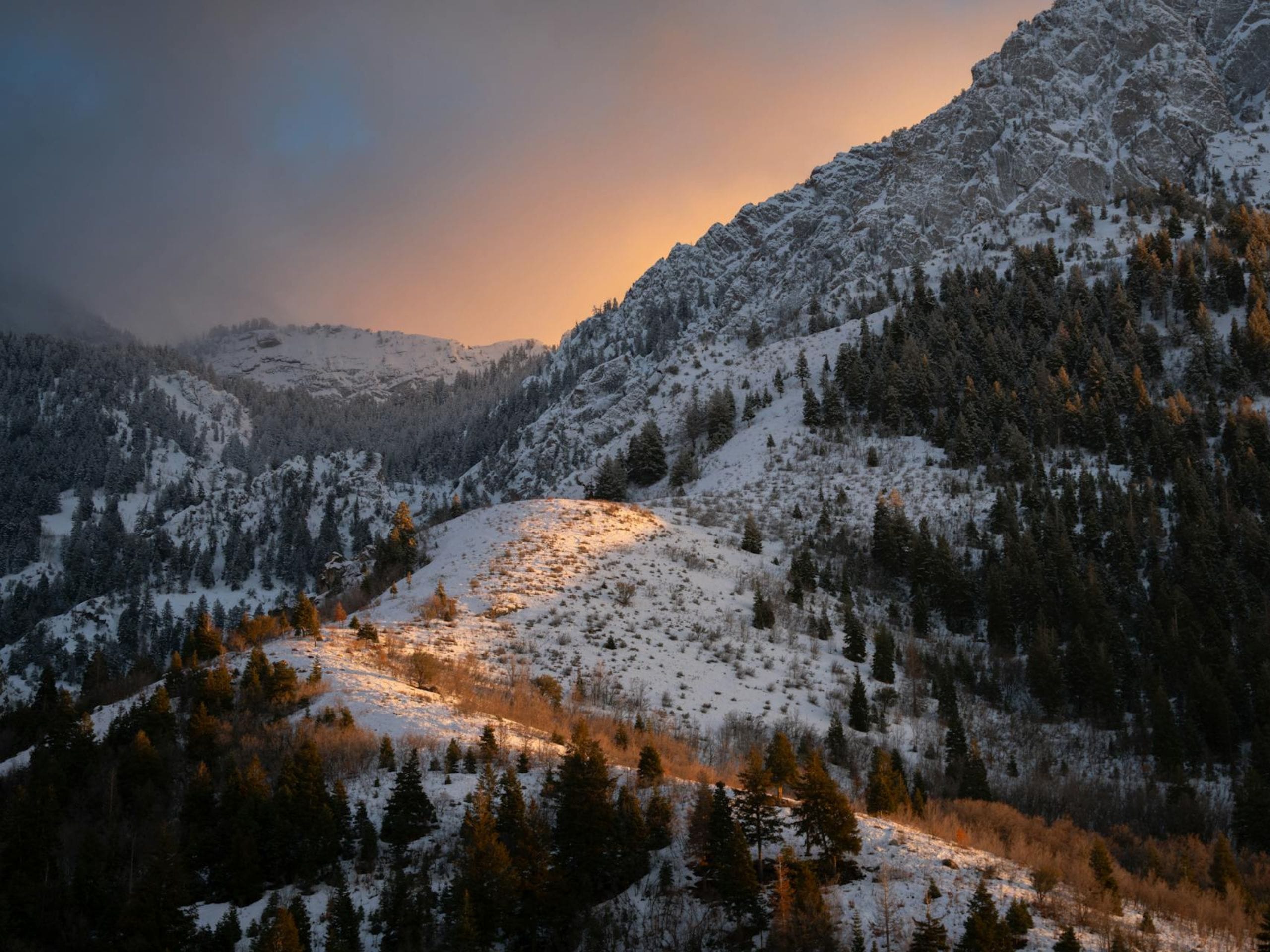 Paysage de montagne enneigé au coucher du soleil.