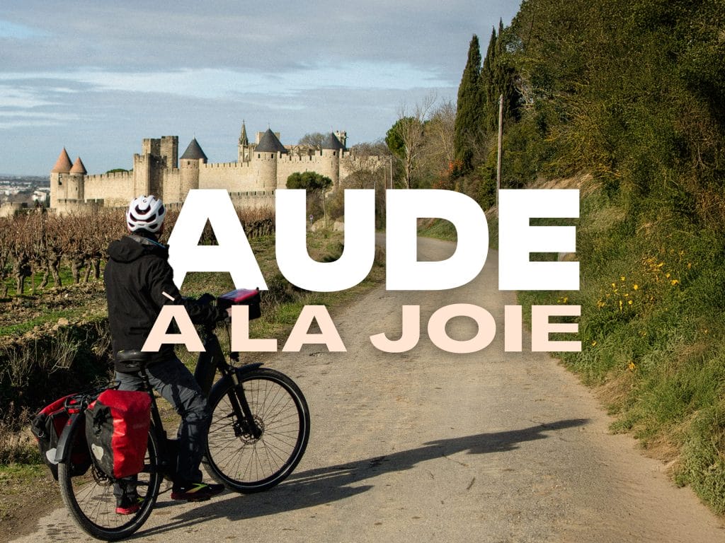 couverture Aude à la joie