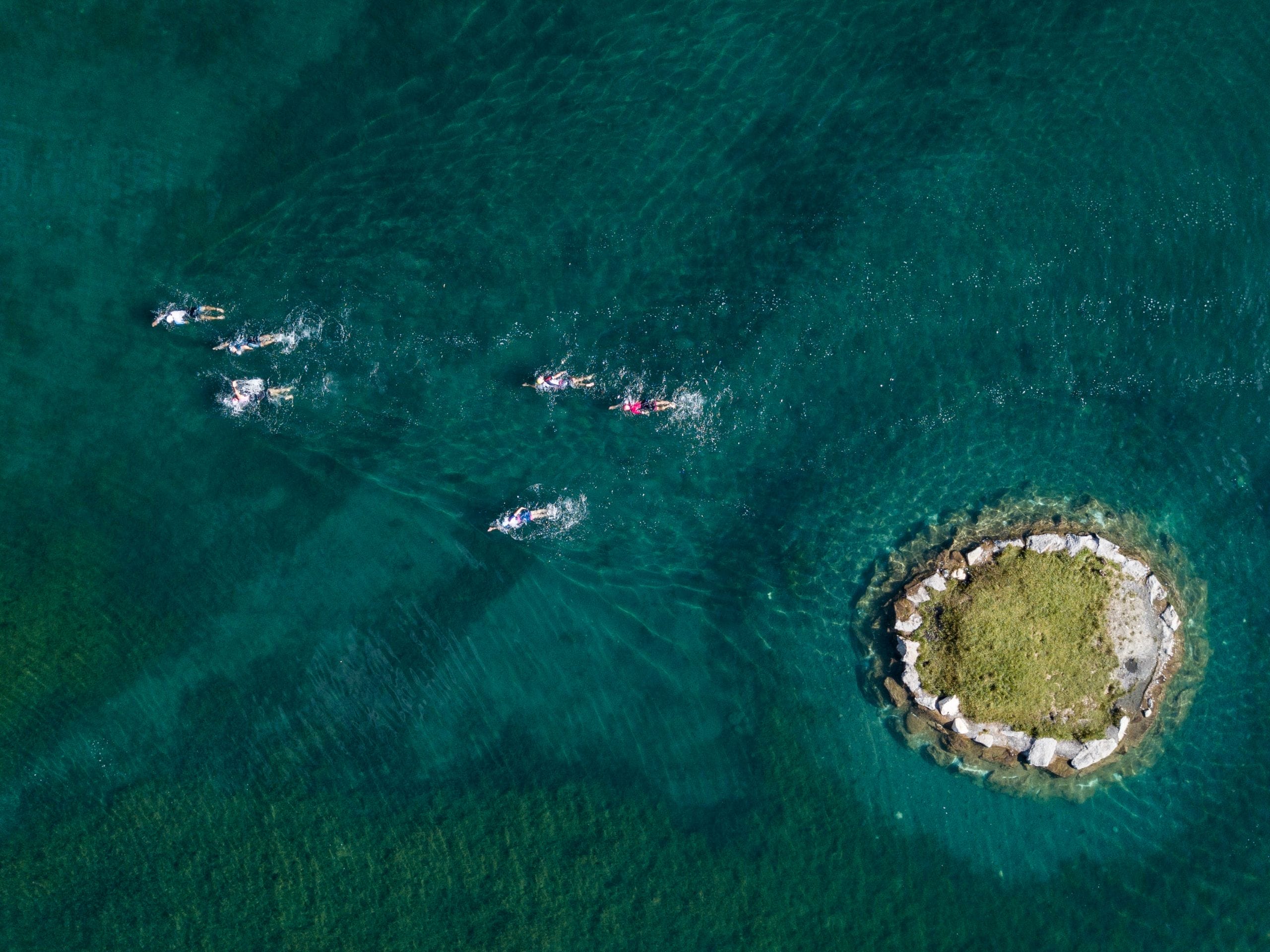 Stage d'initiation à la nage en eau libre dans le Morbihan.