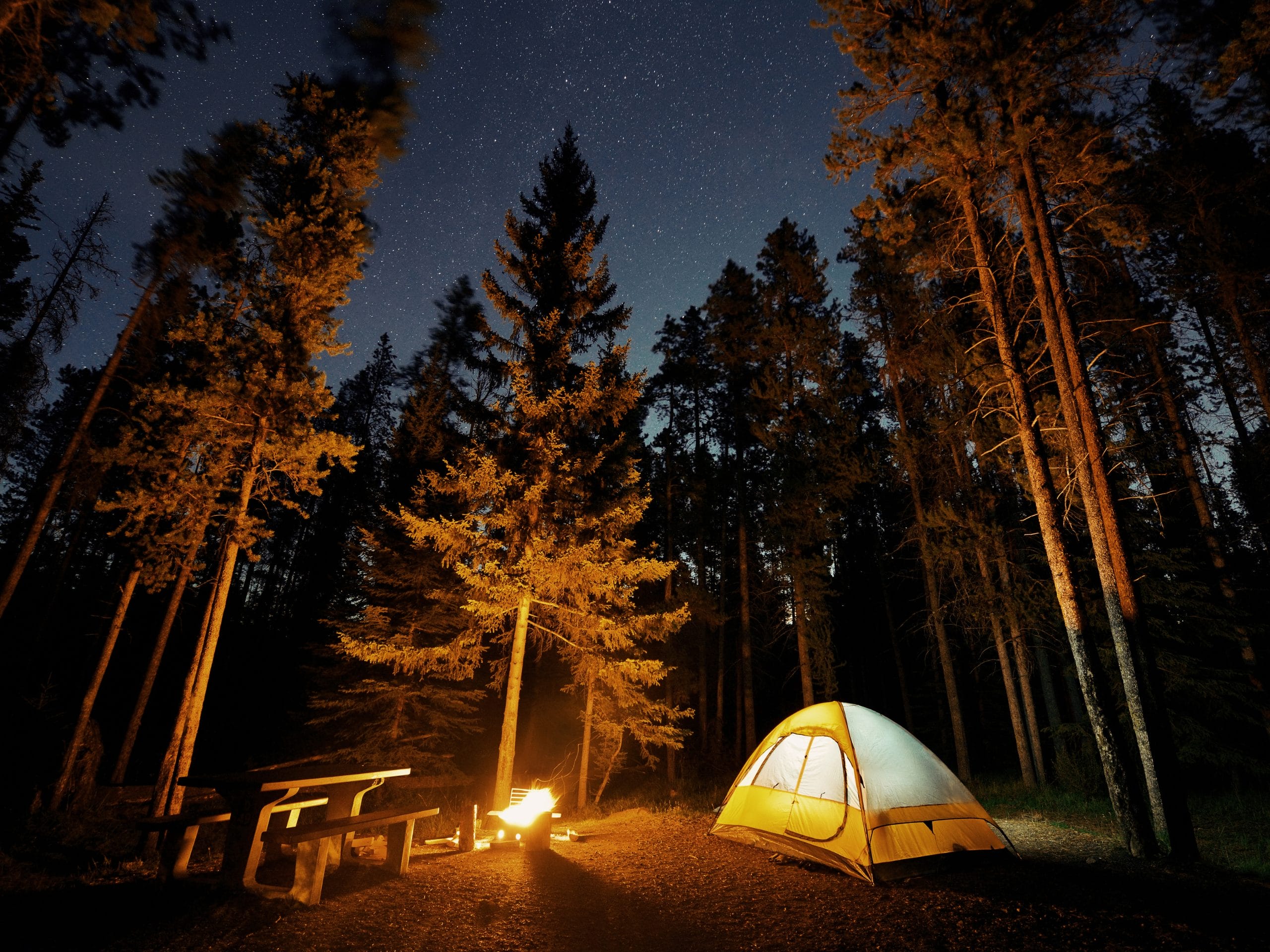 tente dans une forêt le soir