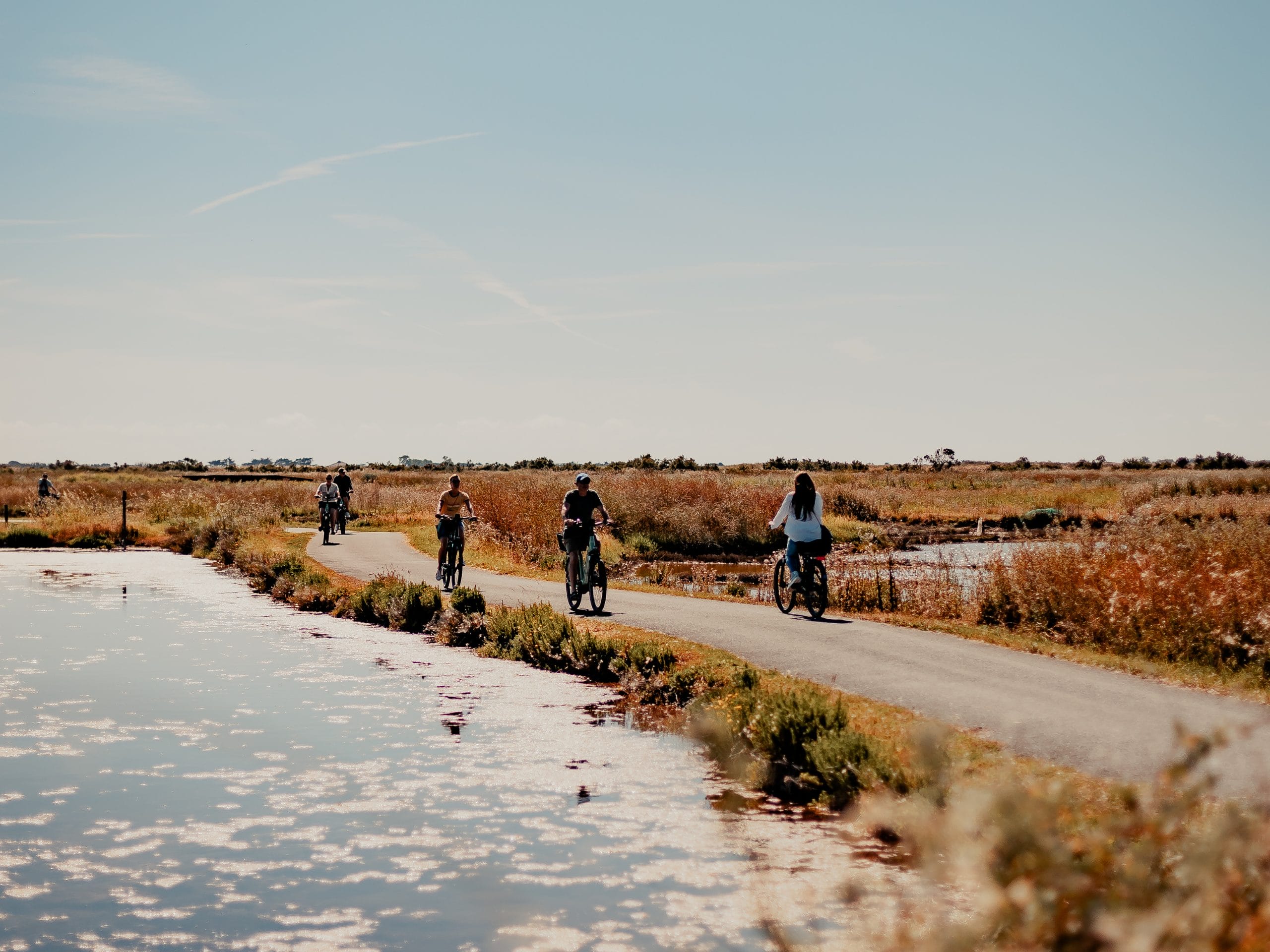 Plusieurs personnes qui se promènent à vélo sur l'Île de Ré. 