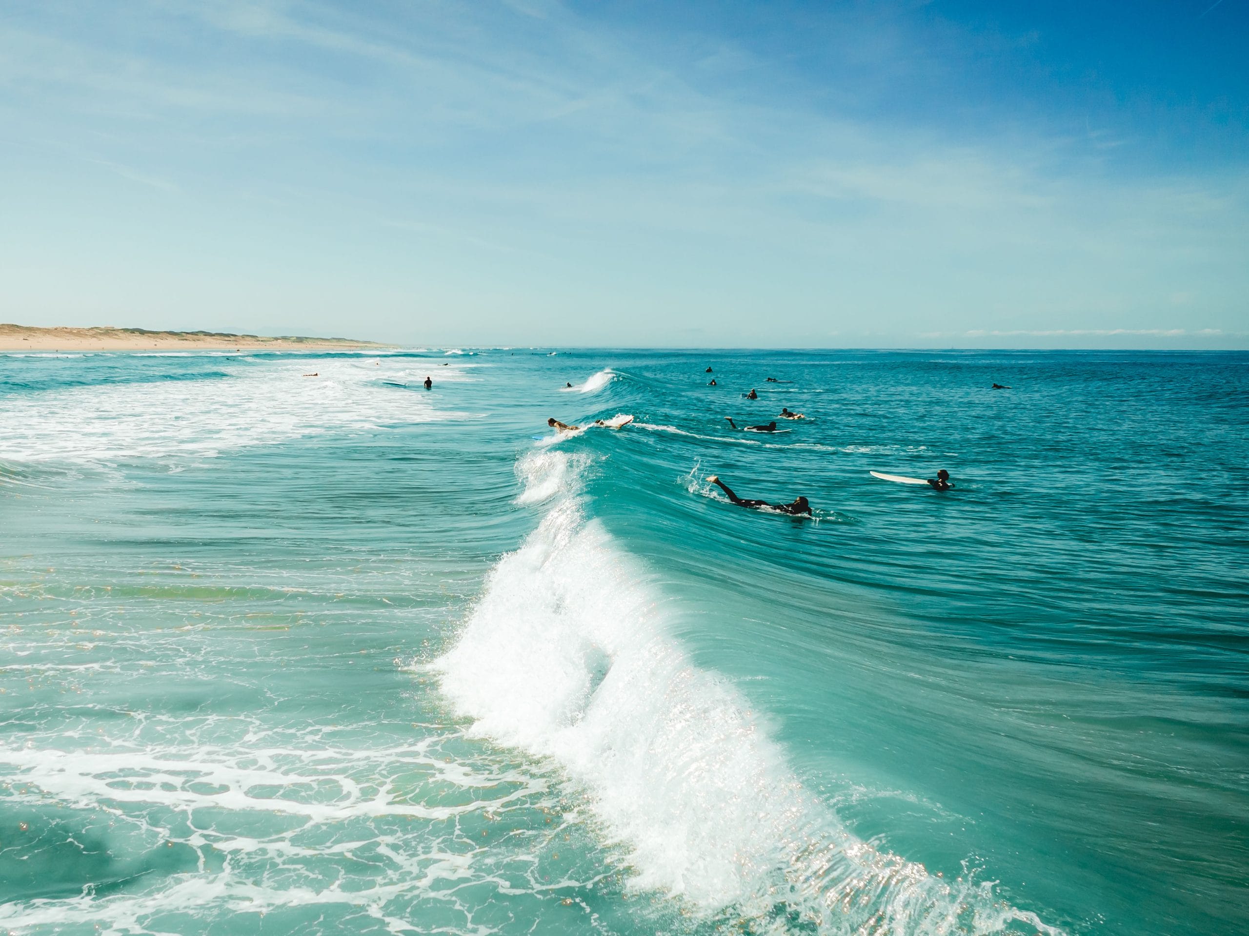 Surfeurs dans l'océan. 