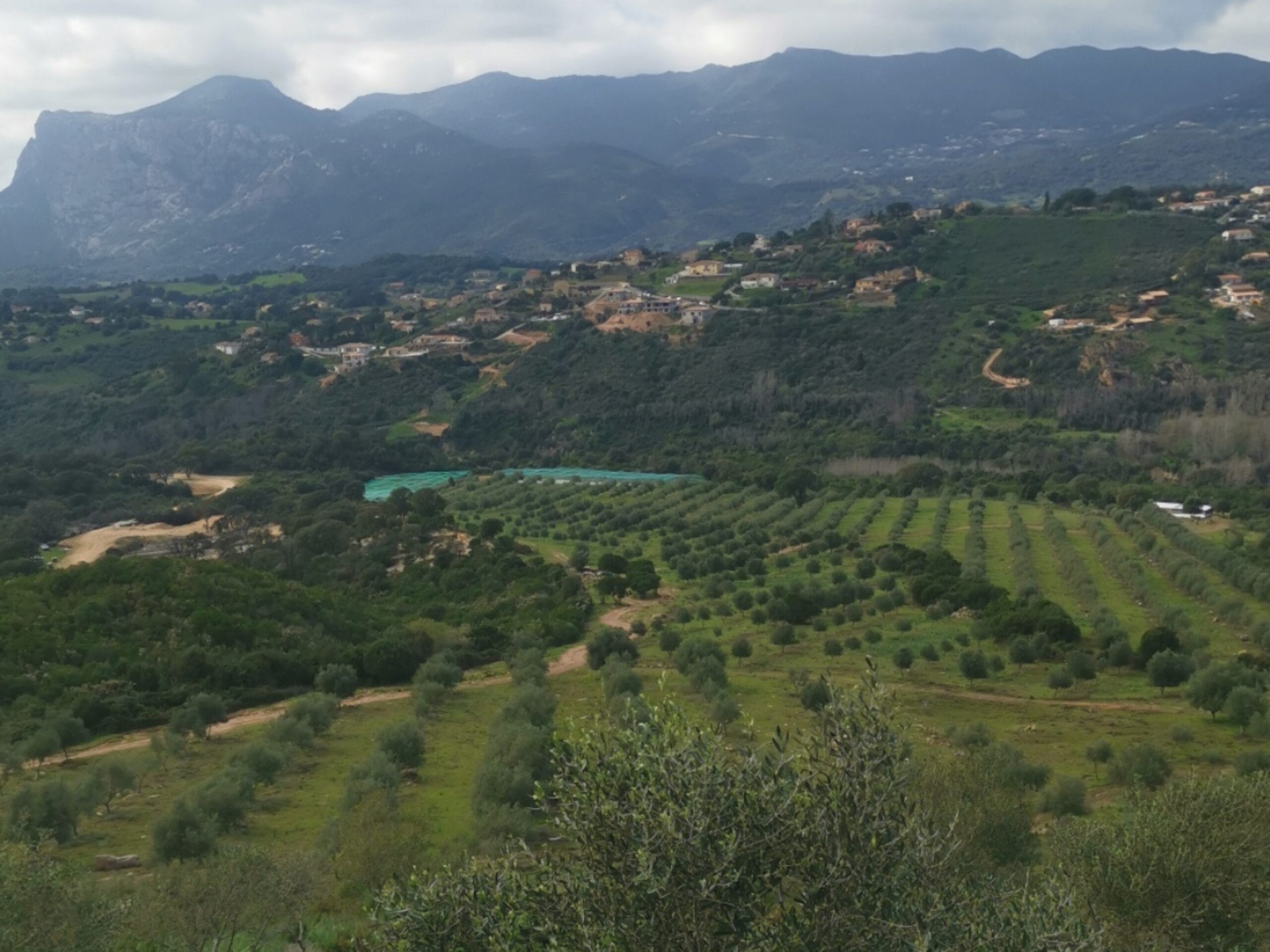 ajaccio agritourisme (3)