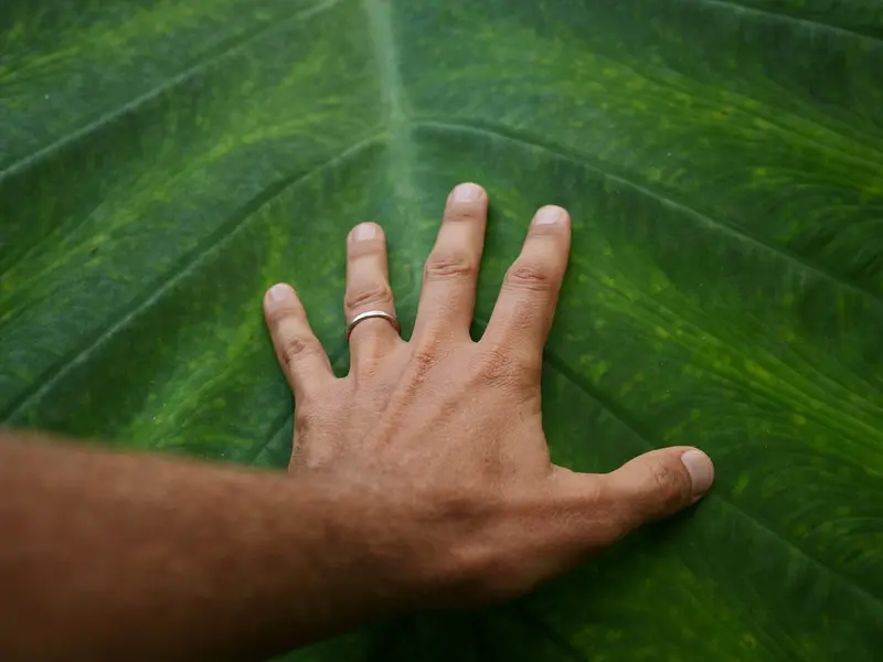journée de la terre