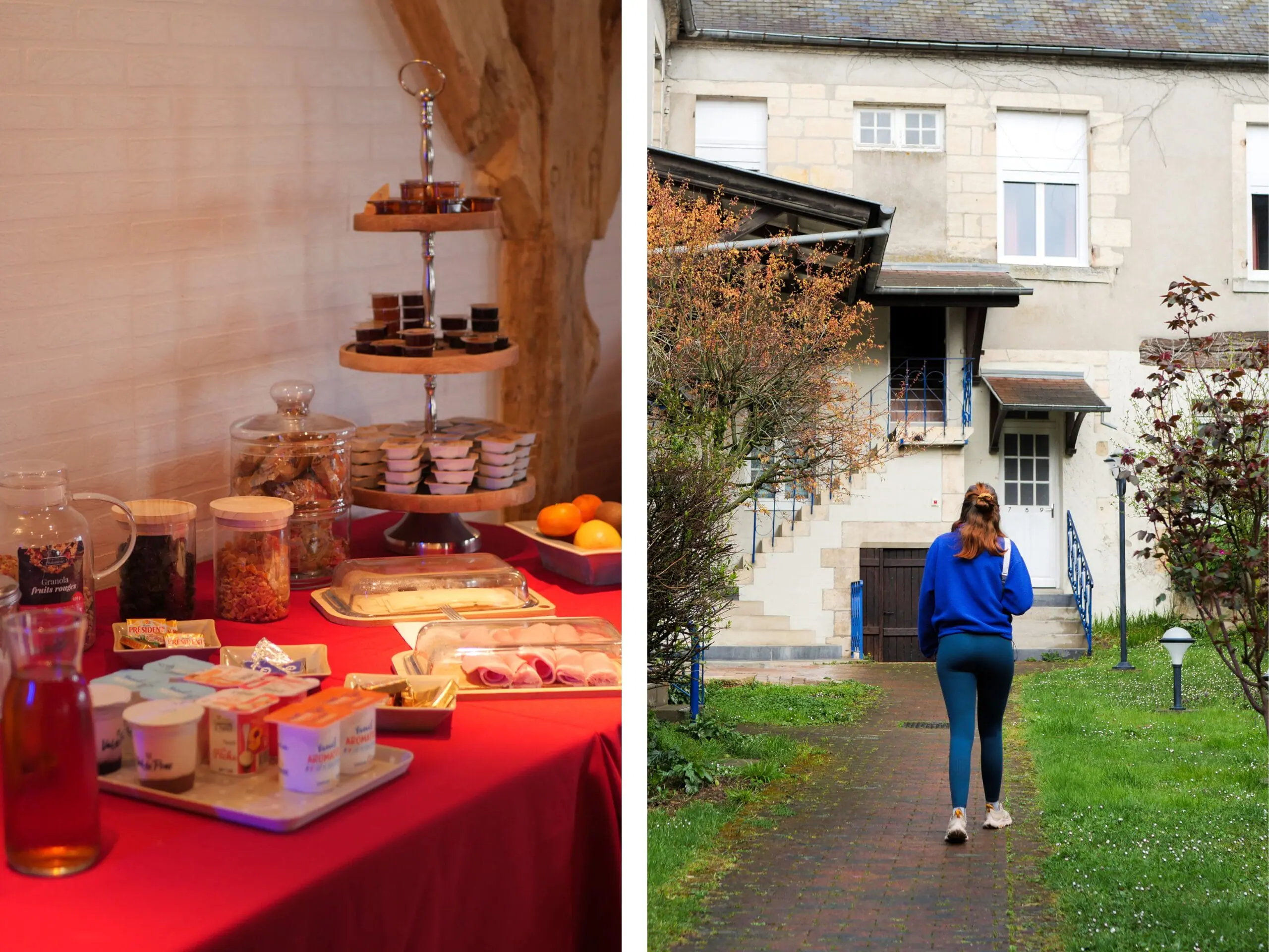 Buffet petit-déjeuner de l'hôtel et Colibri qui rentre à la chambre