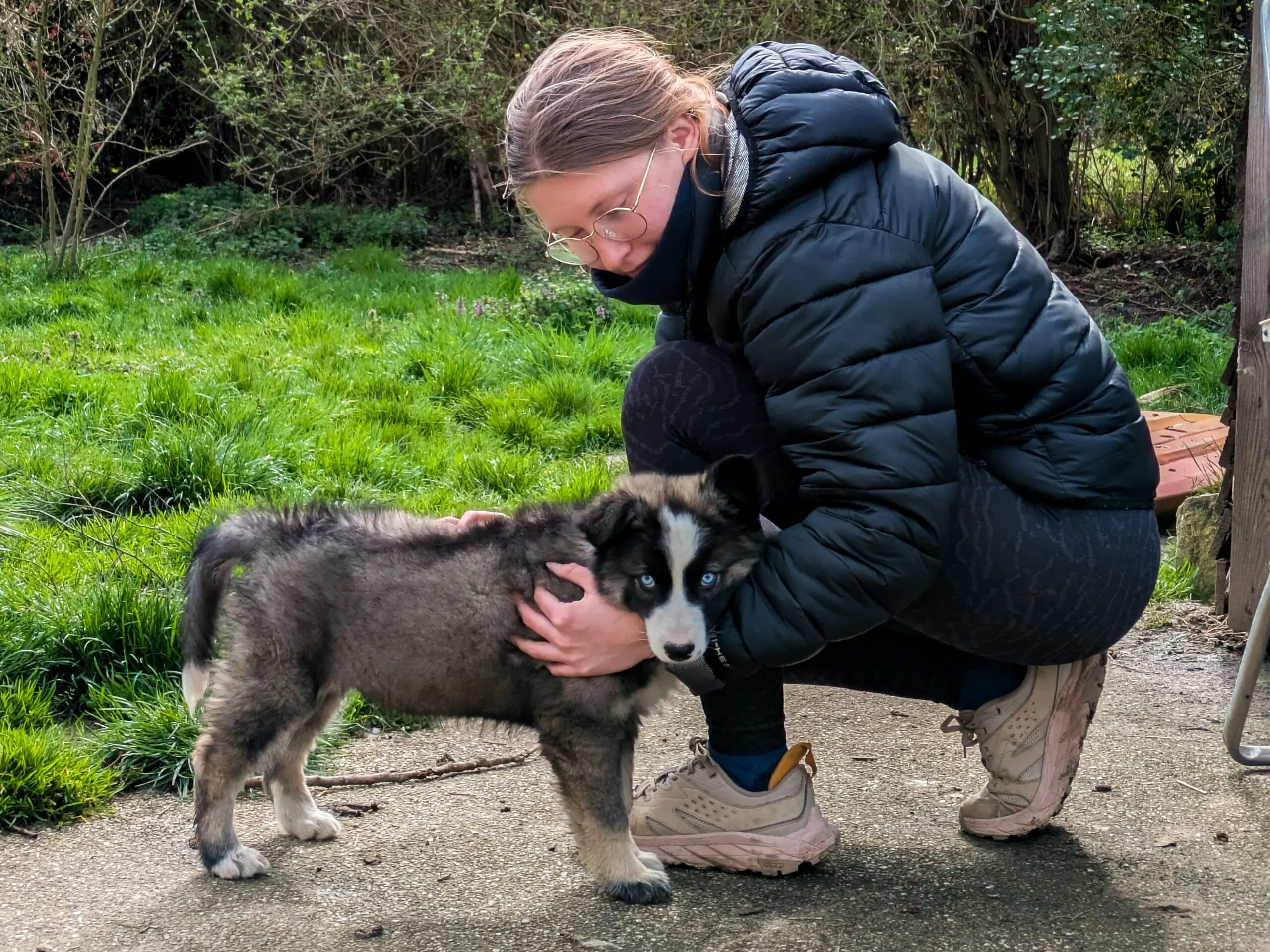 Artemis le chiot et Colibri accroupie dans le parc