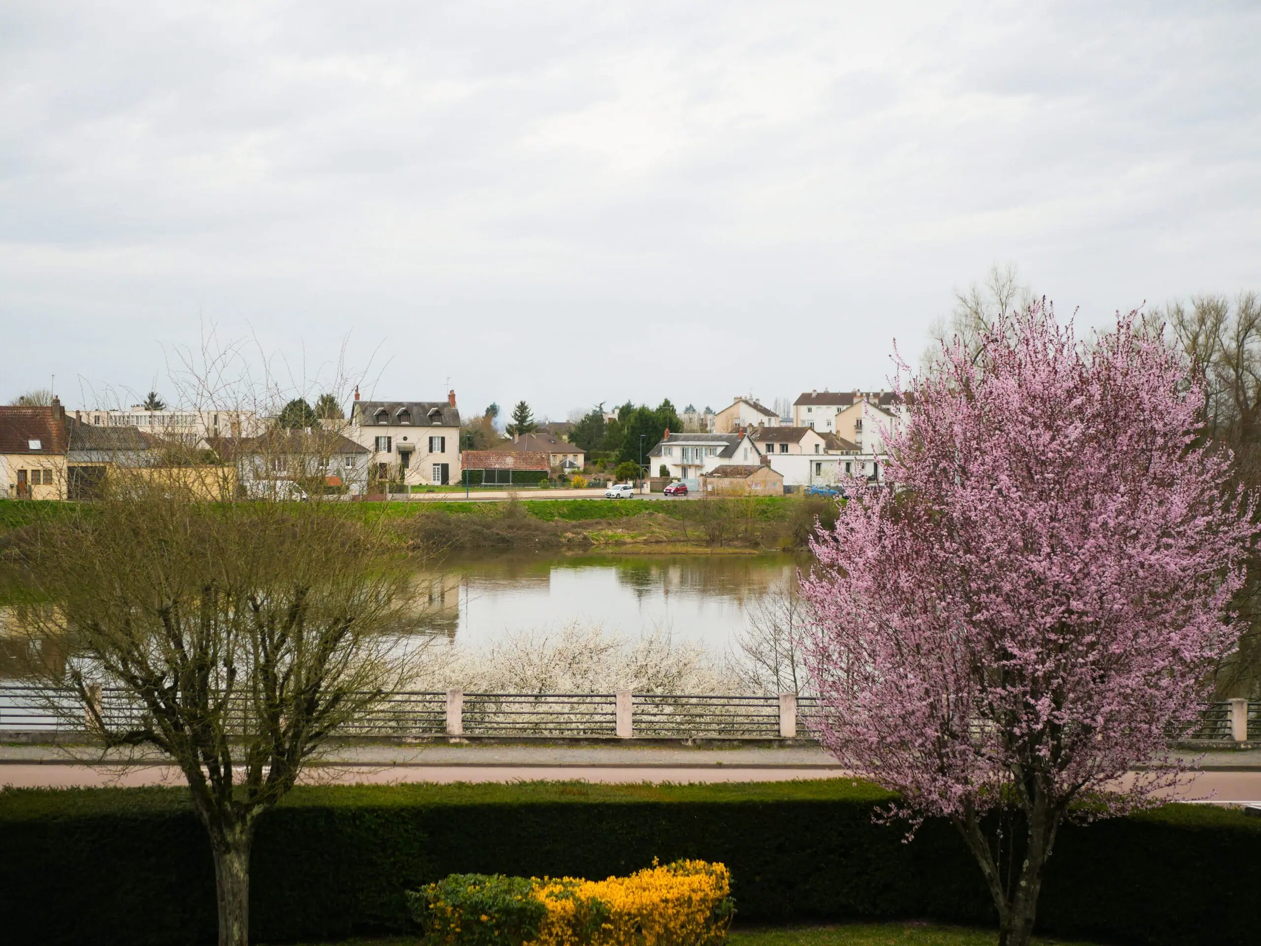 Vue sur la ville de Decize avec un arbre rose en fleurs