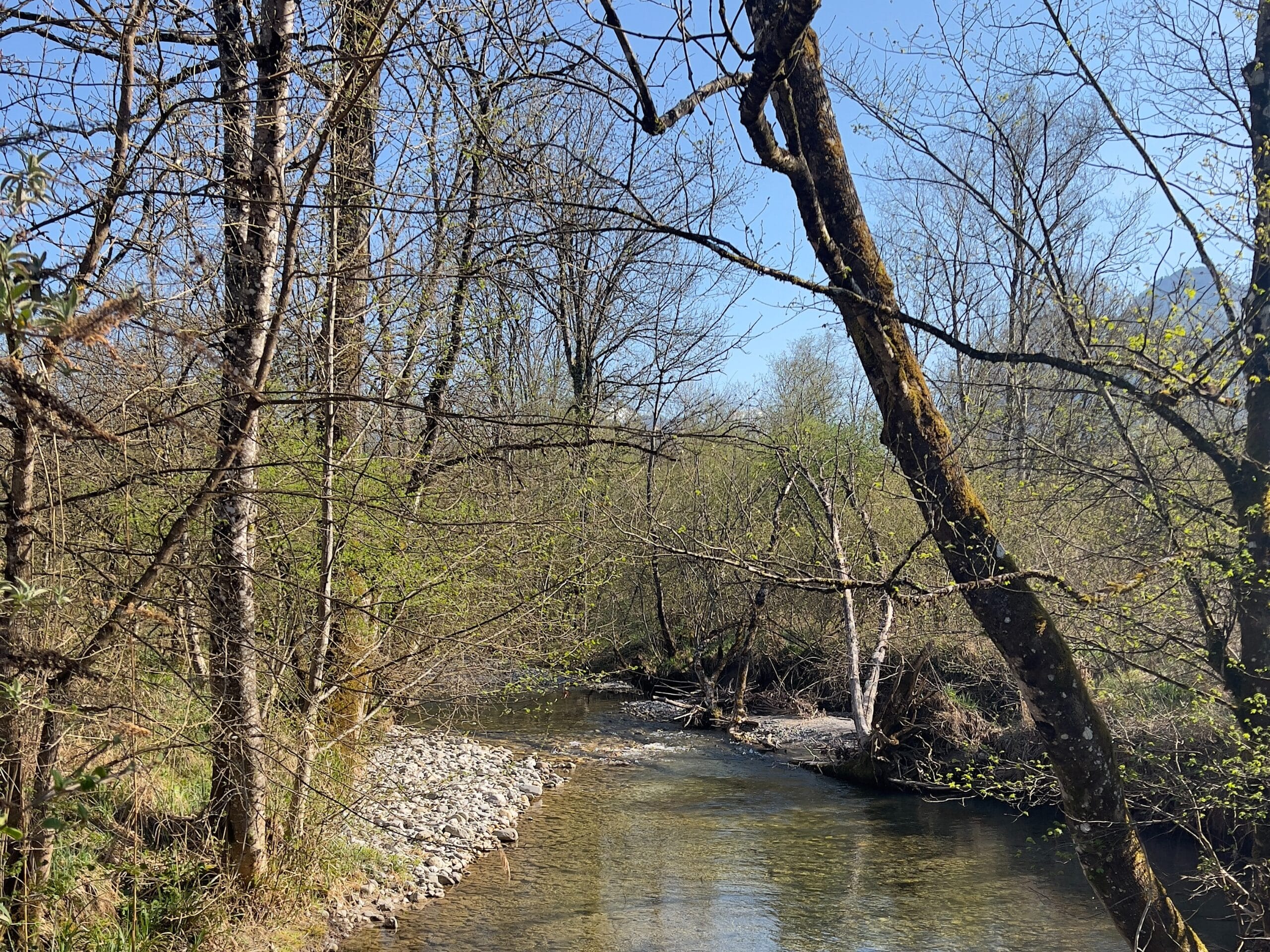 Réserve naturelle du Bout du Lac