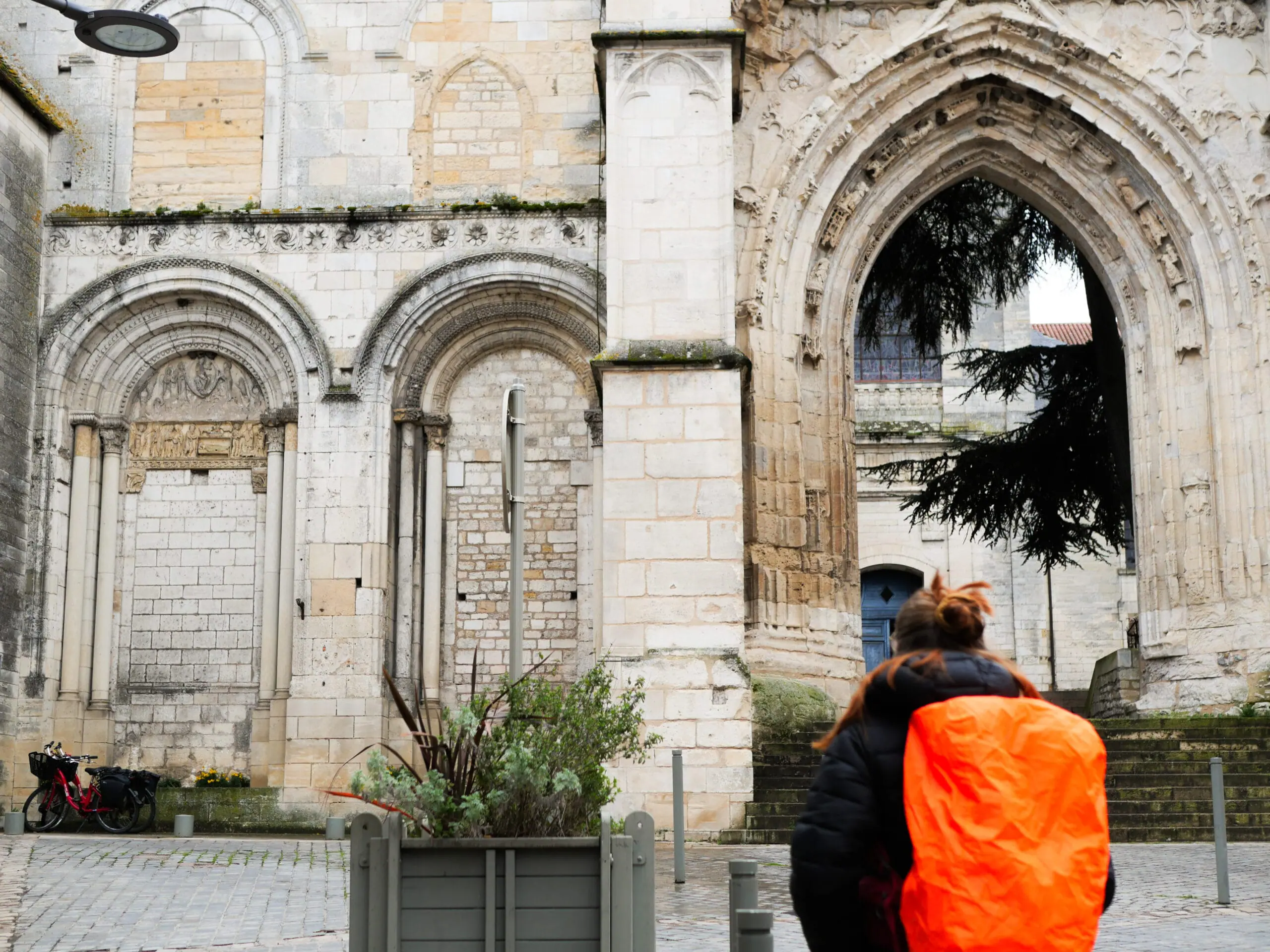 Colibri devant la Nef de la cathédrale de la Charité