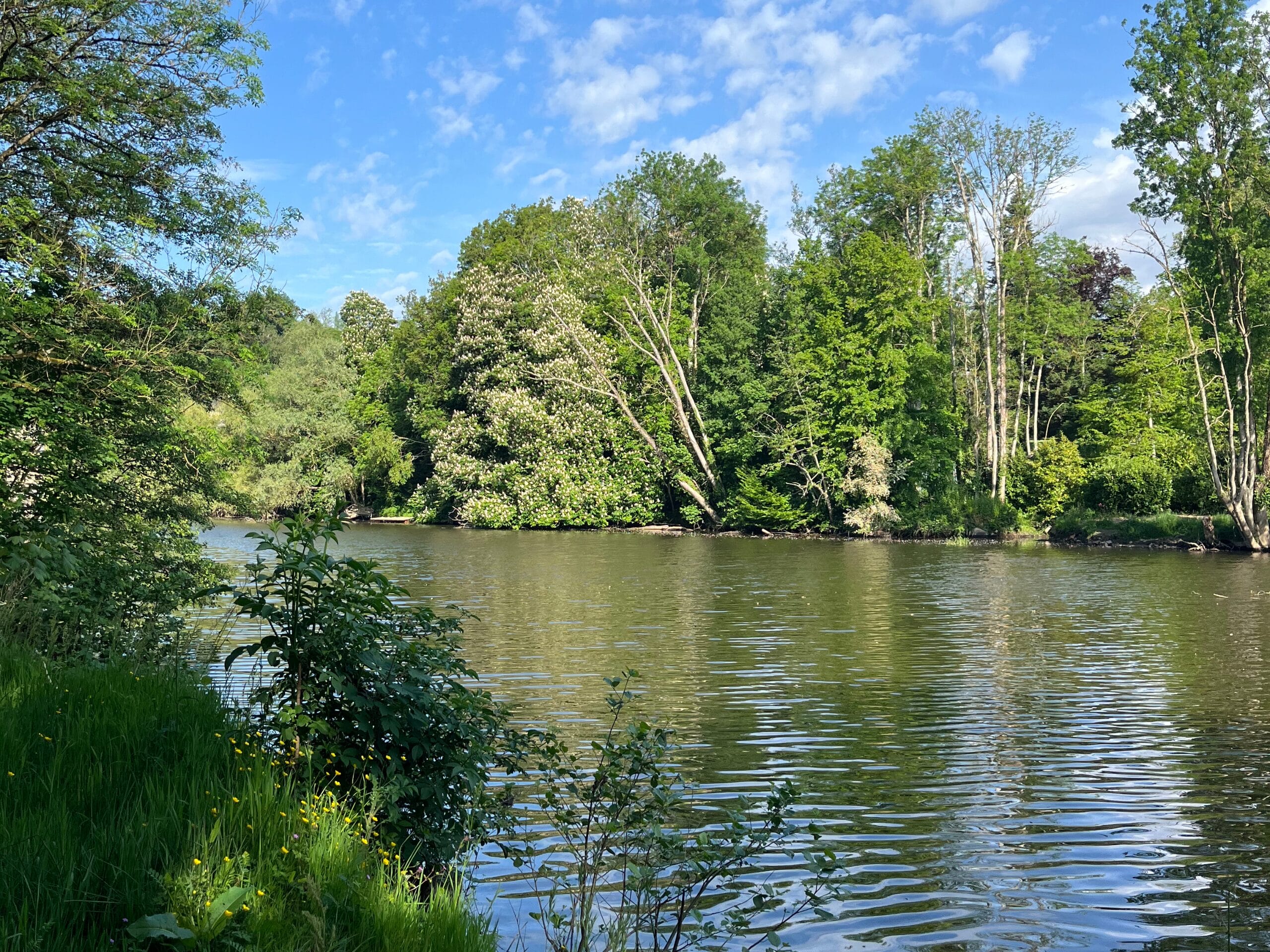 Au bord de l'eau sur la route